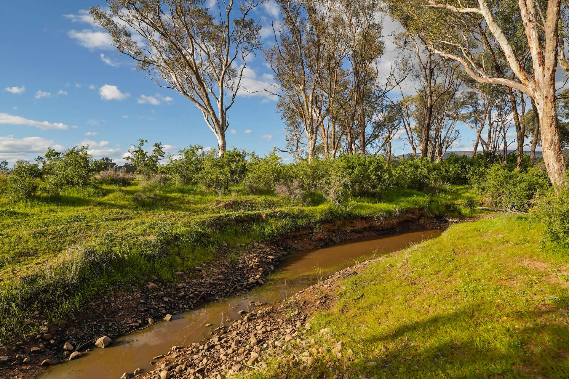 248 Houplines Road, Peak Hill Auction by Farmbuy.com - image 29