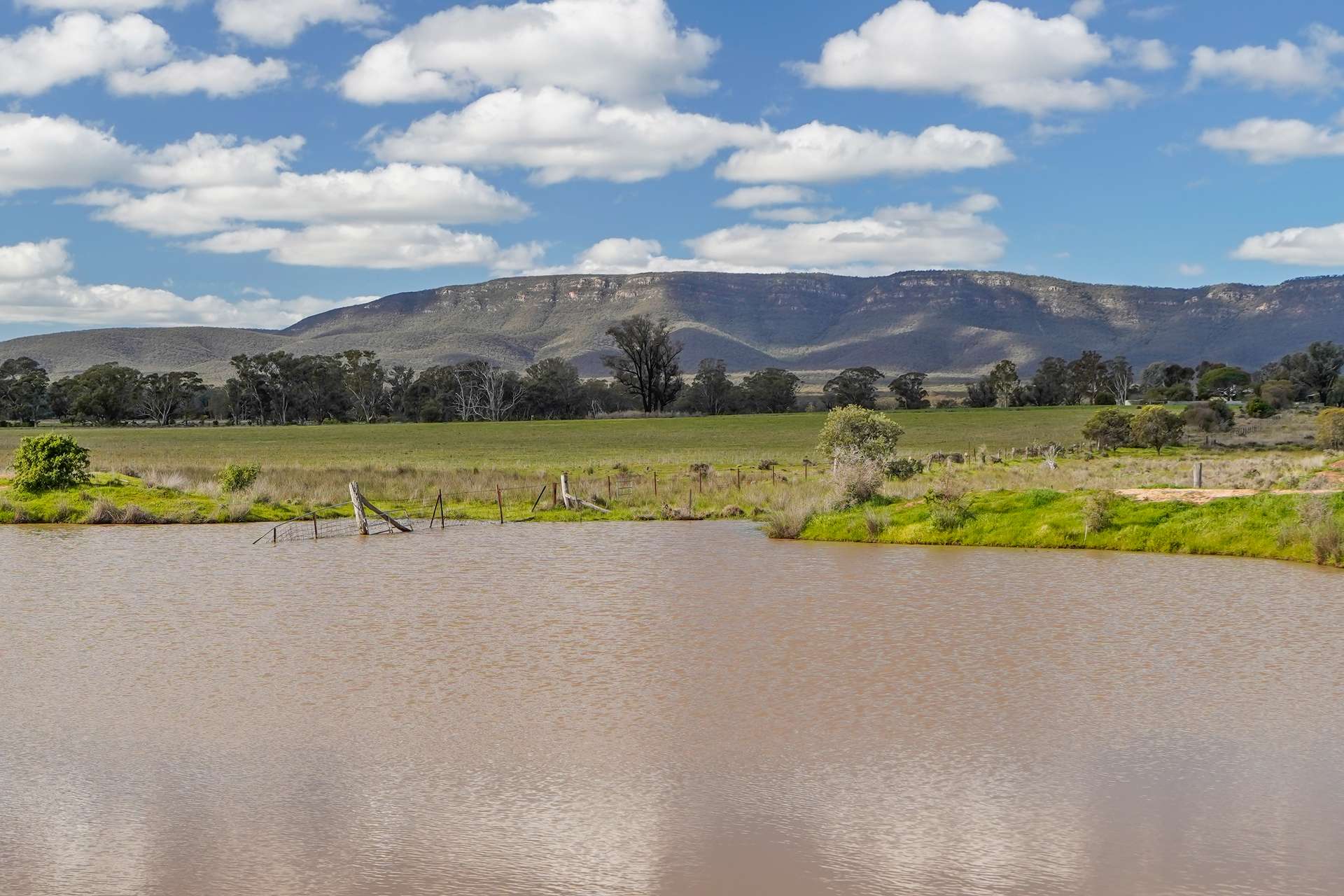 248 Houplines Road, Peak Hill Auction by Farmbuy.com - image 2
