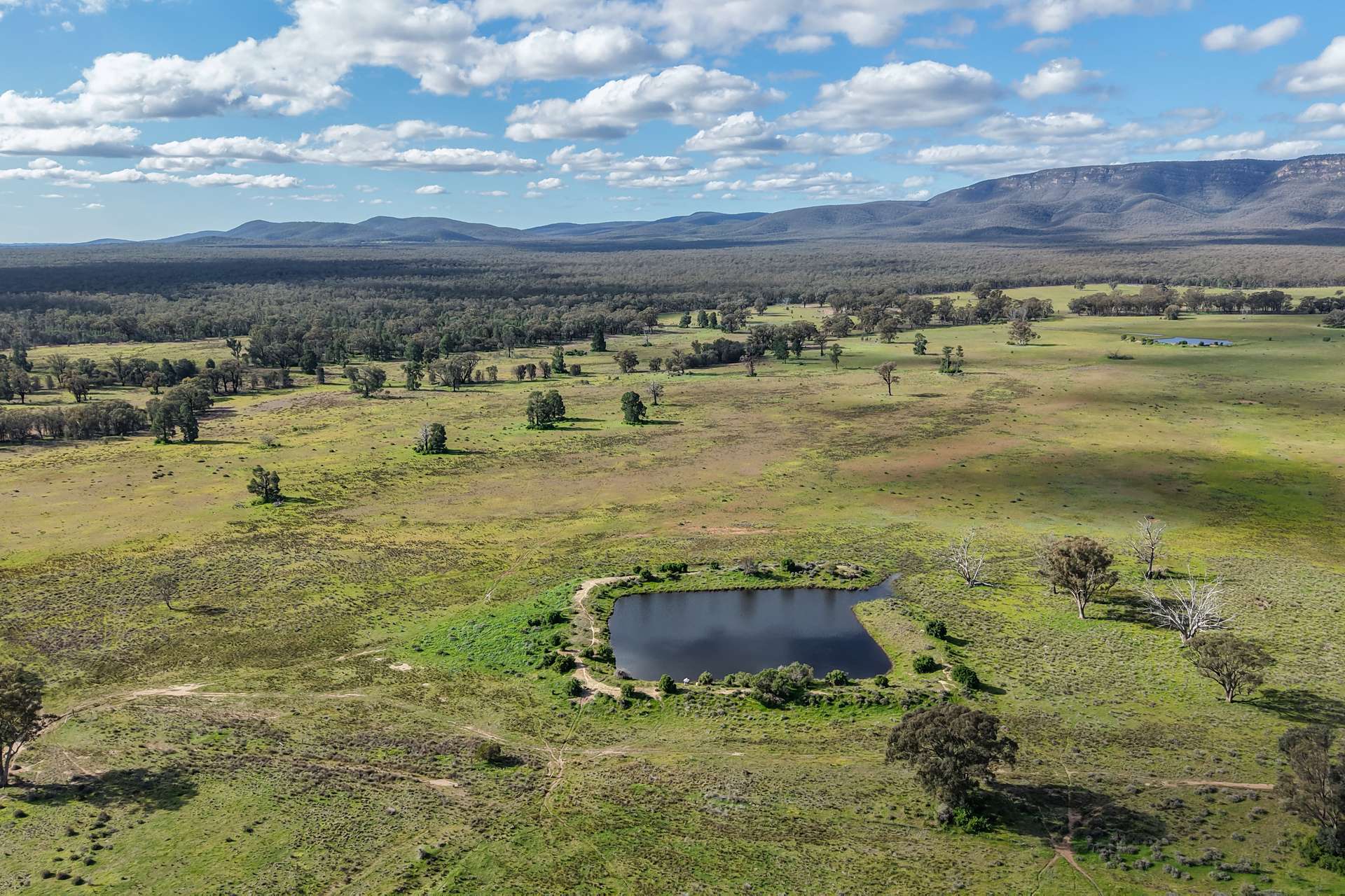 248 Houplines Road, Peak Hill Auction by Farmbuy.com - image 5