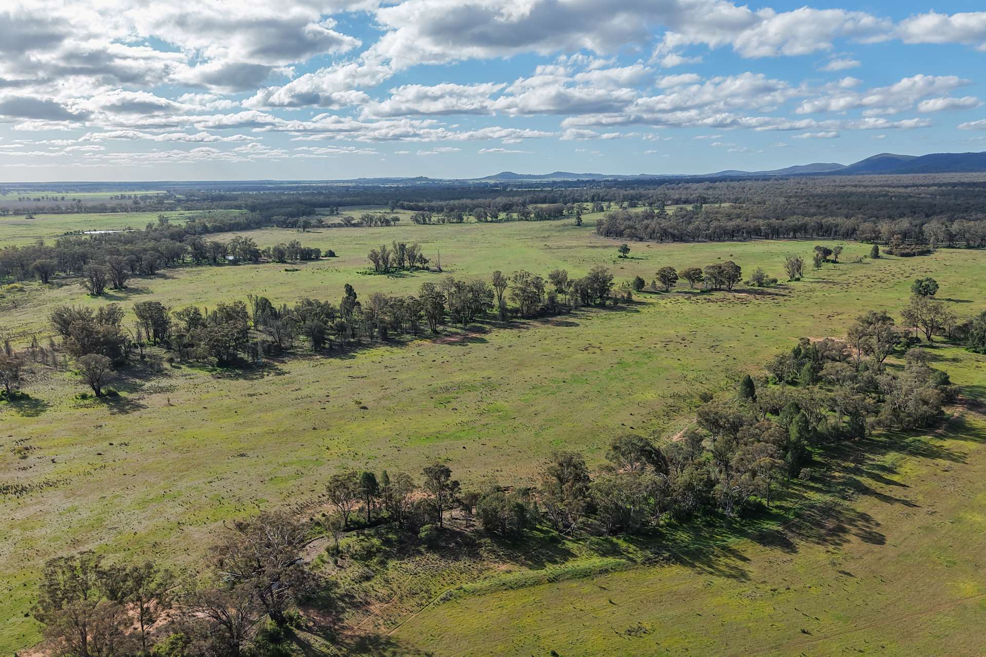 248 Houplines Road, Peak Hill Auction by Farmbuy.com - image 15