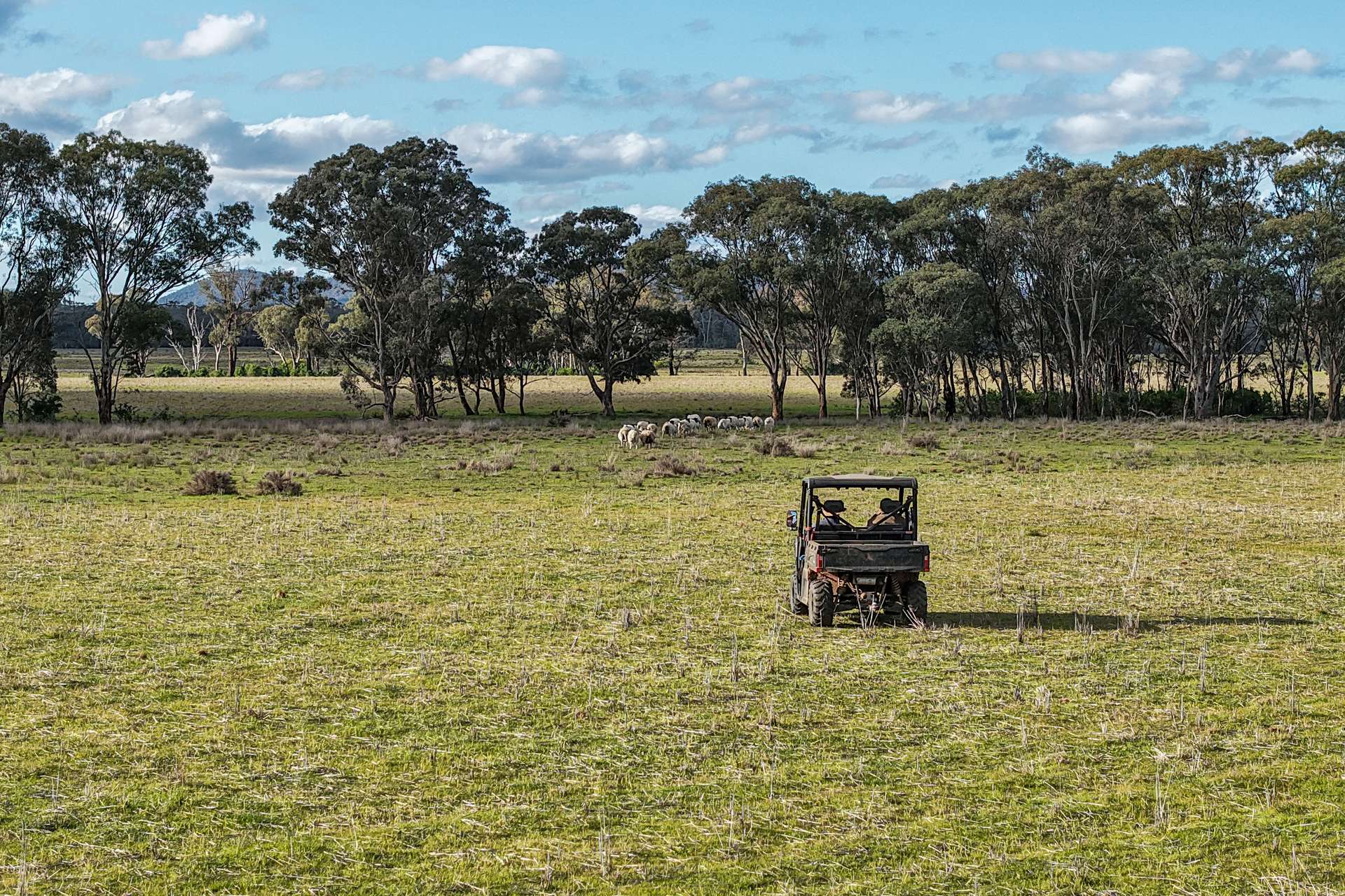 248 Houplines Road, Peak Hill Auction by Farmbuy.com - image 21