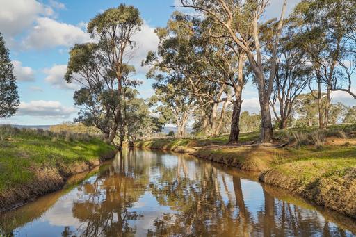Farm Auction - NSW - Peak Hill - 2869 - "Harvey View" – Where Wide Open Spaces Meet Opportunity 