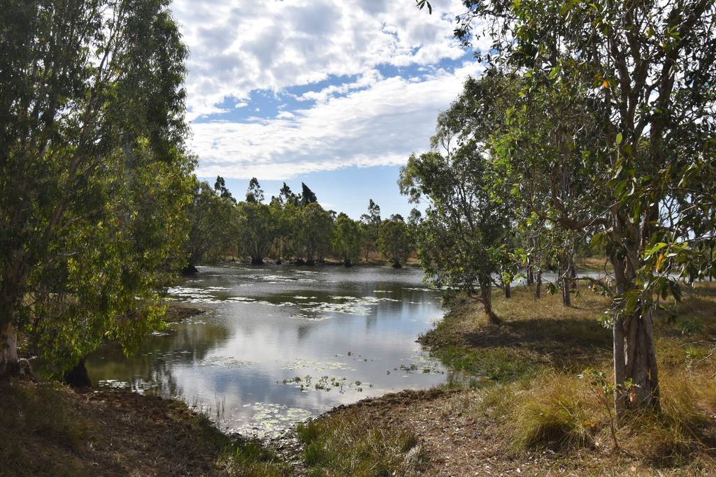 282 Staffords Road, Bloomsbury QLD 4799