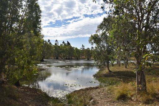 282 Staffords Road, Bloomsbury QLD 4799