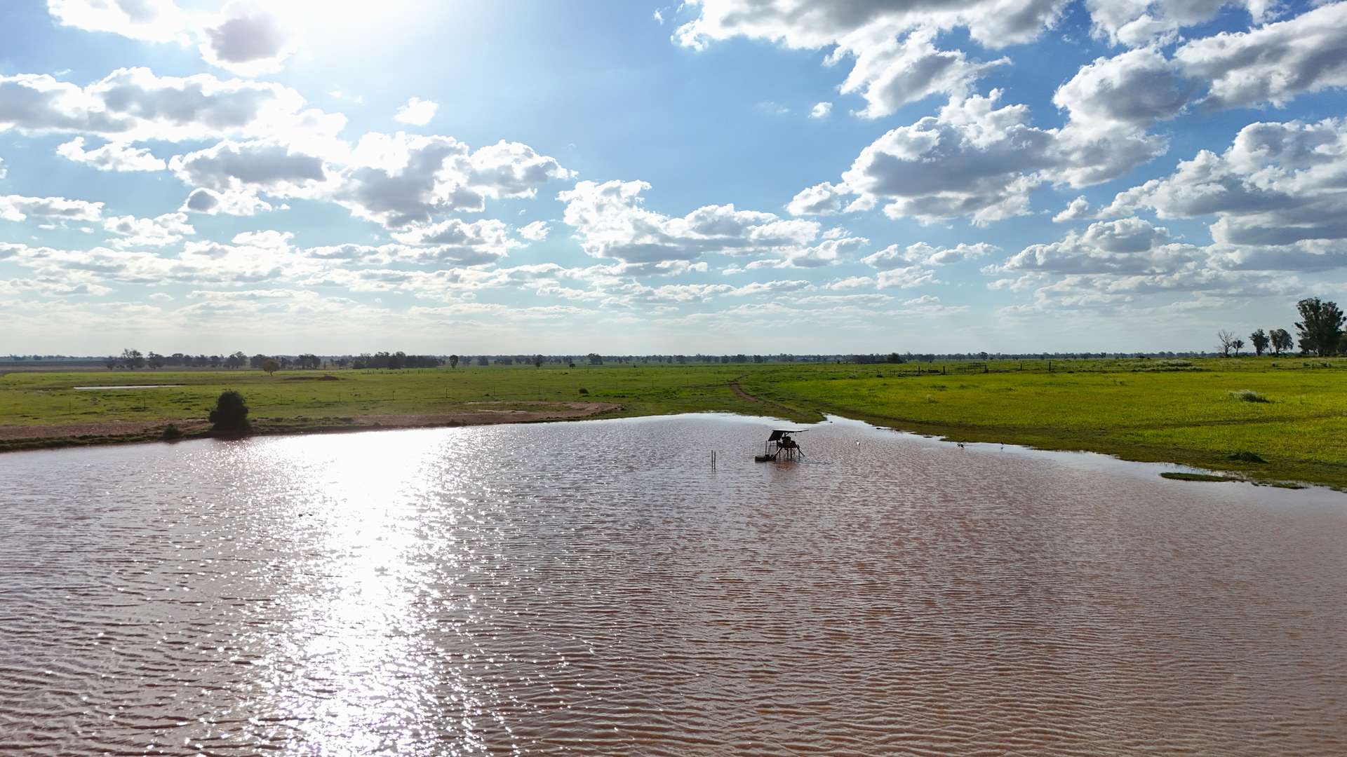 1238 Tomingley Road, Narromine For Sale by Farmbuy.com - image 2