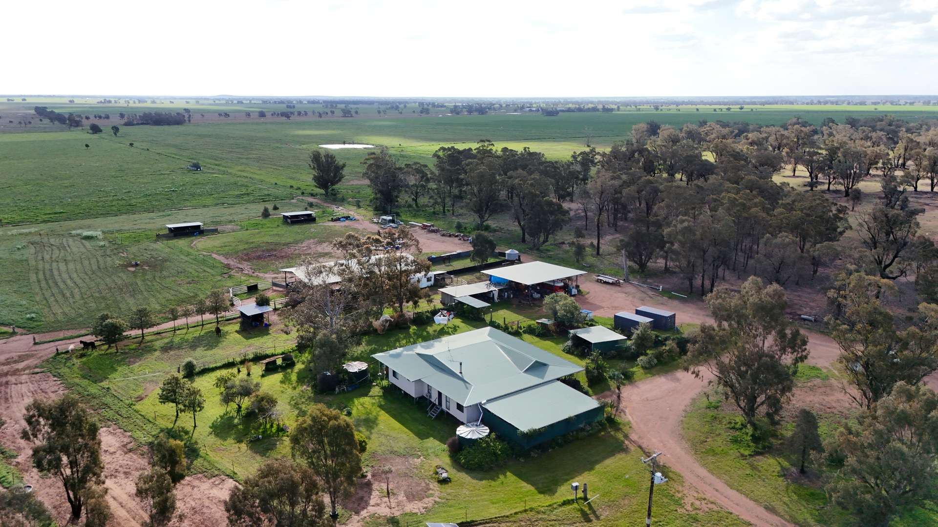 1238 Tomingley Road, Narromine For Sale by Farmbuy.com - image 3