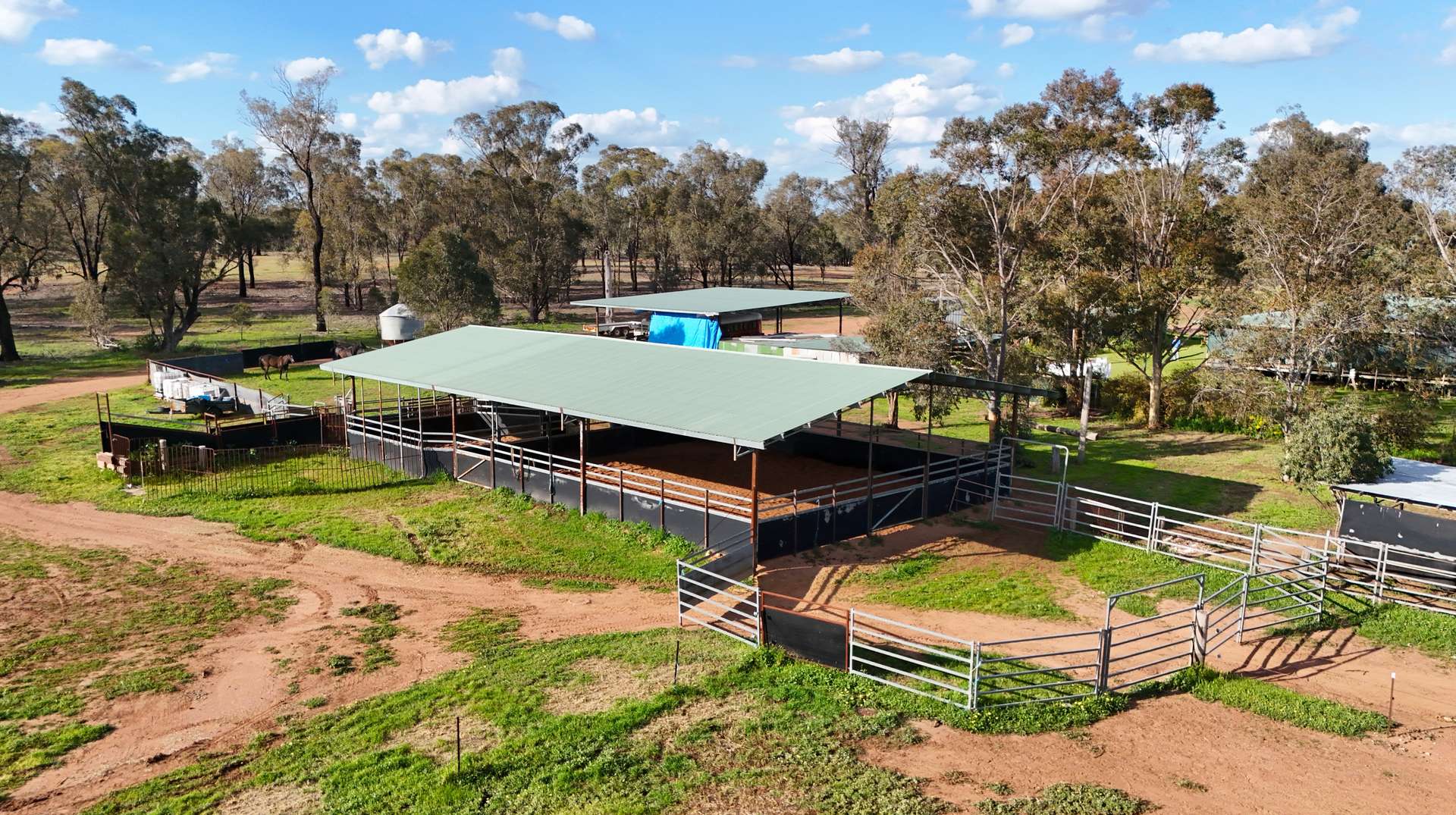 1238 Tomingley Road, Narromine For Sale by Farmbuy.com - image 6