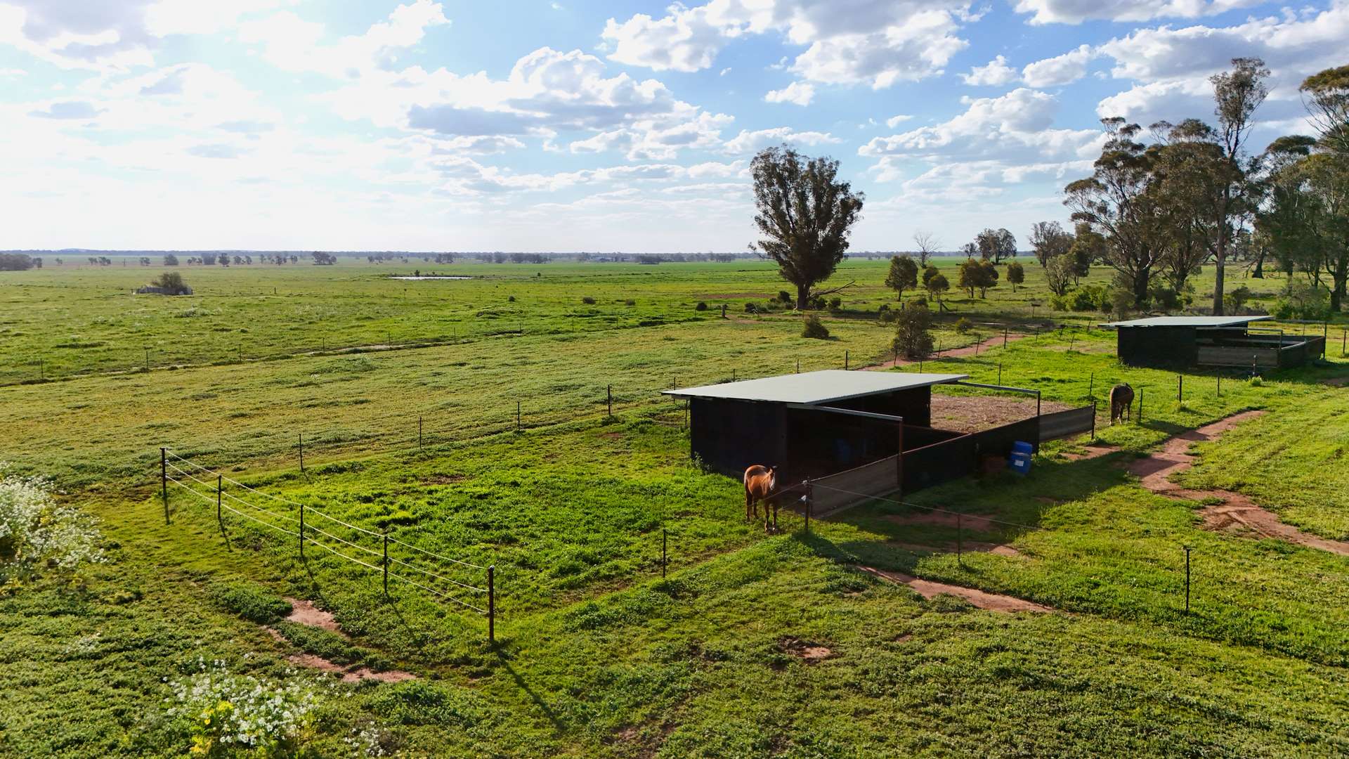 1238 Tomingley Road, Narromine For Sale by Farmbuy.com - image 7