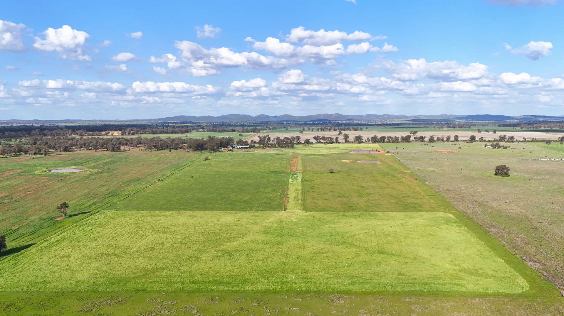 1238 Tomingley Road, Narromine For Sale by Farmbuy.com - image 1