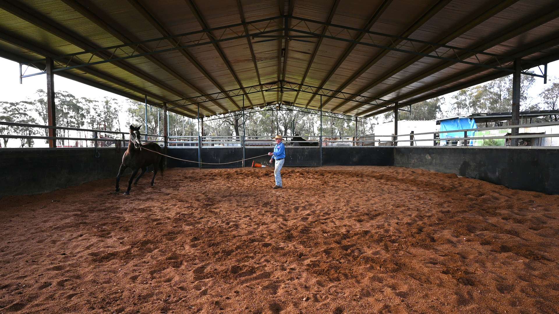 1238 Tomingley Road, Narromine For Sale by Farmbuy.com - image 5