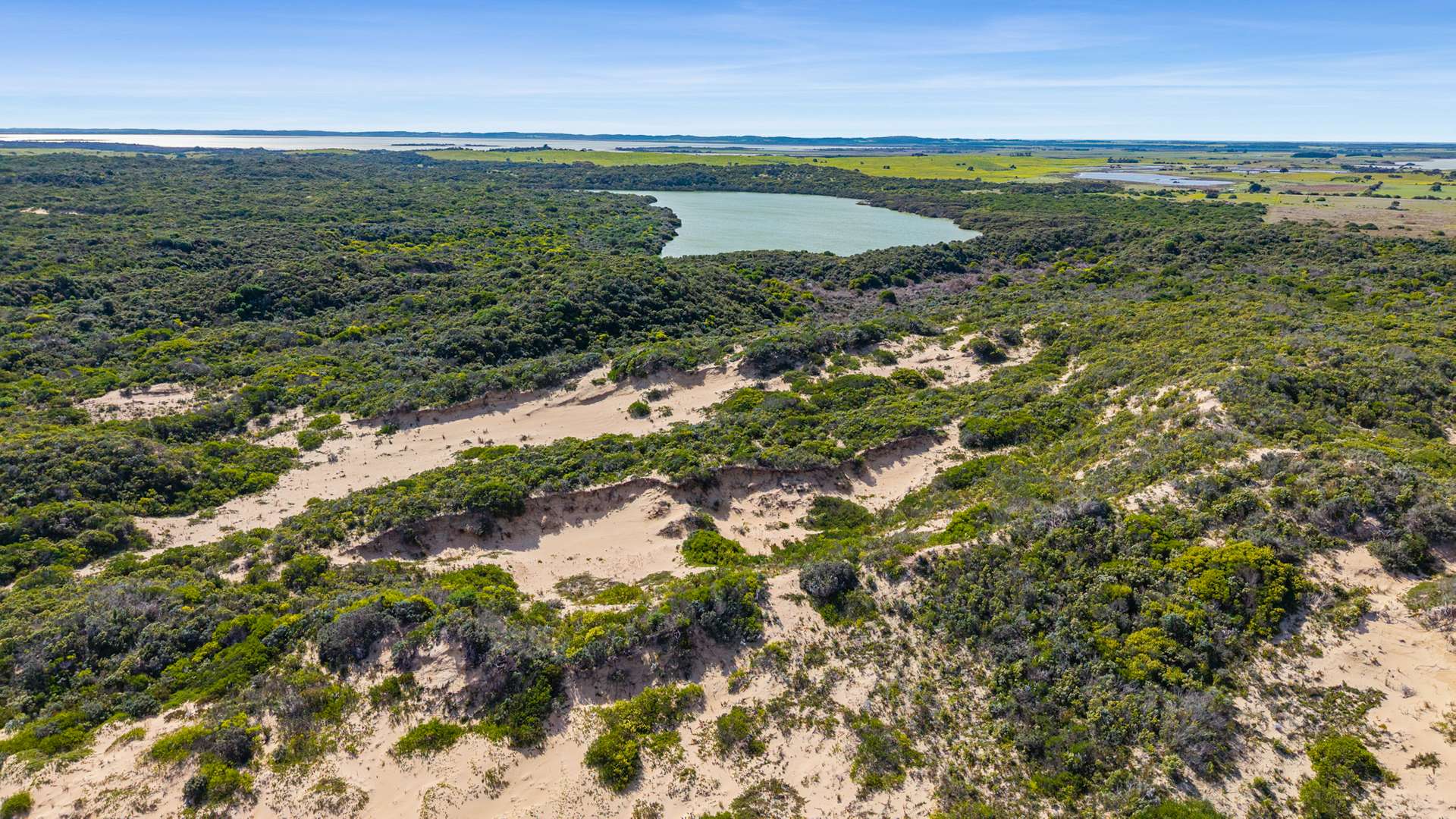 2068 Nora Creina Road, Robe For Sale by Farmbuy.com - image 20
