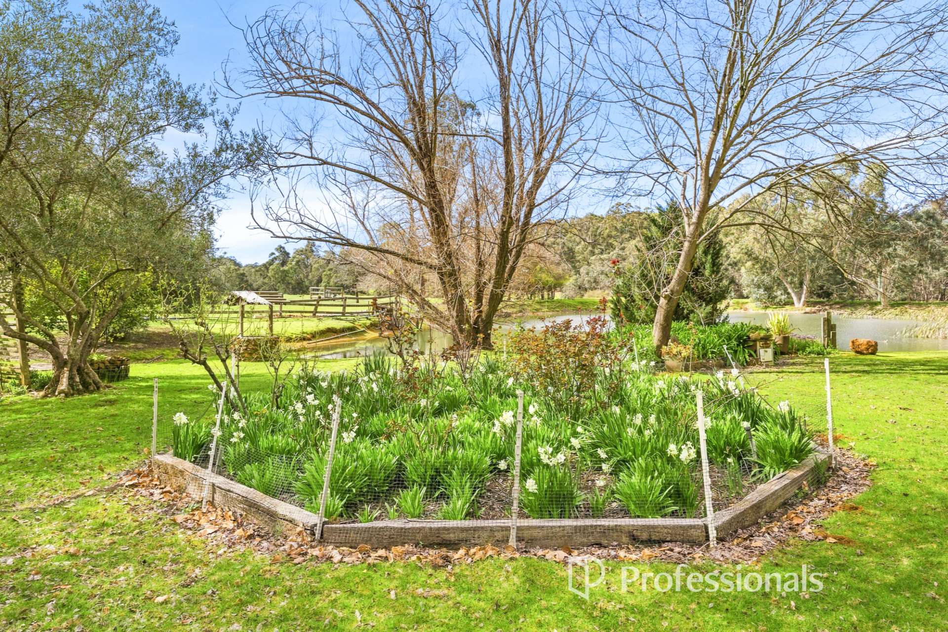 852 Worsley Back Road, Worsley For Sale by Farmbuy.com - image 20
