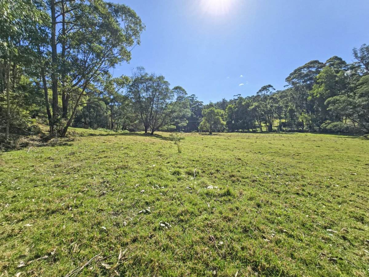 564 Combienbar Road, Club Terrace For Sale by Farmbuy.com - image 8