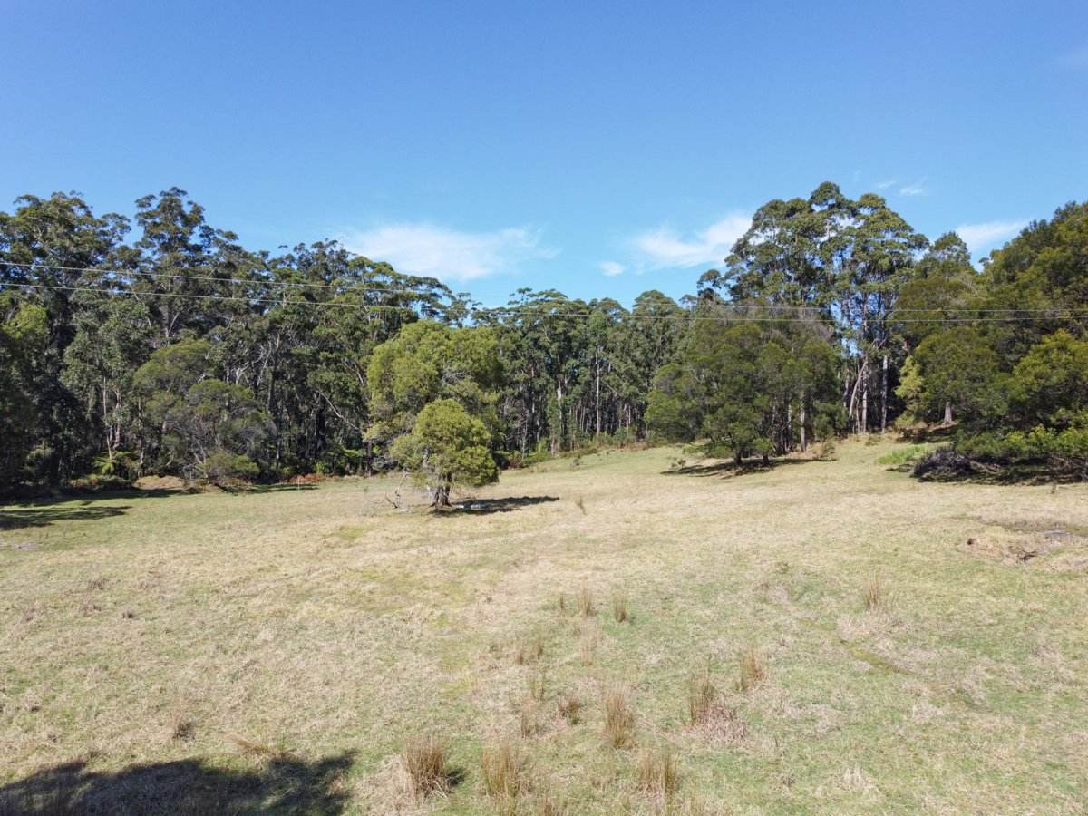 564 Combienbar Road, Club Terrace For Sale by Farmbuy.com - image 10
