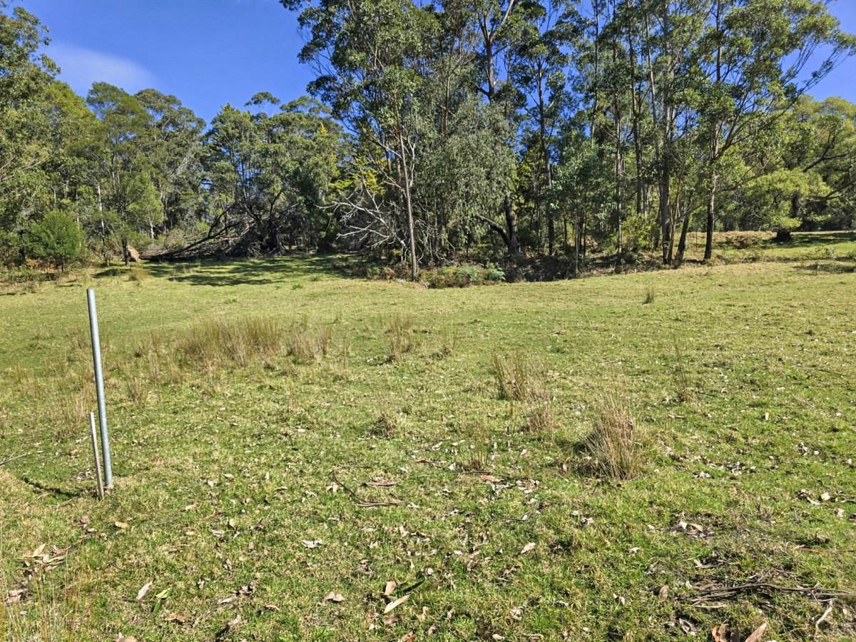 564 Combienbar Road, Club Terrace For Sale by Farmbuy.com - image 6