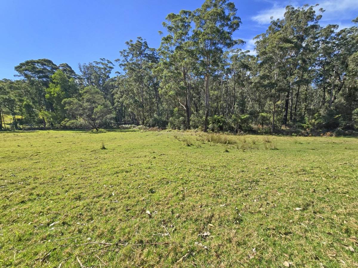 564 Combienbar Road, Club Terrace For Sale by Farmbuy.com - image 5