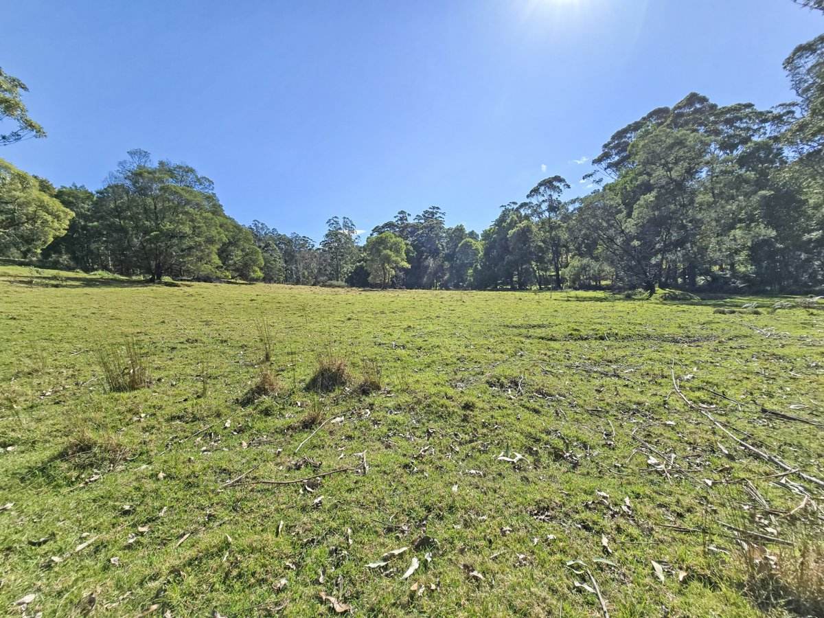 564 Combienbar Road, Club Terrace For Sale by Farmbuy.com - image 9