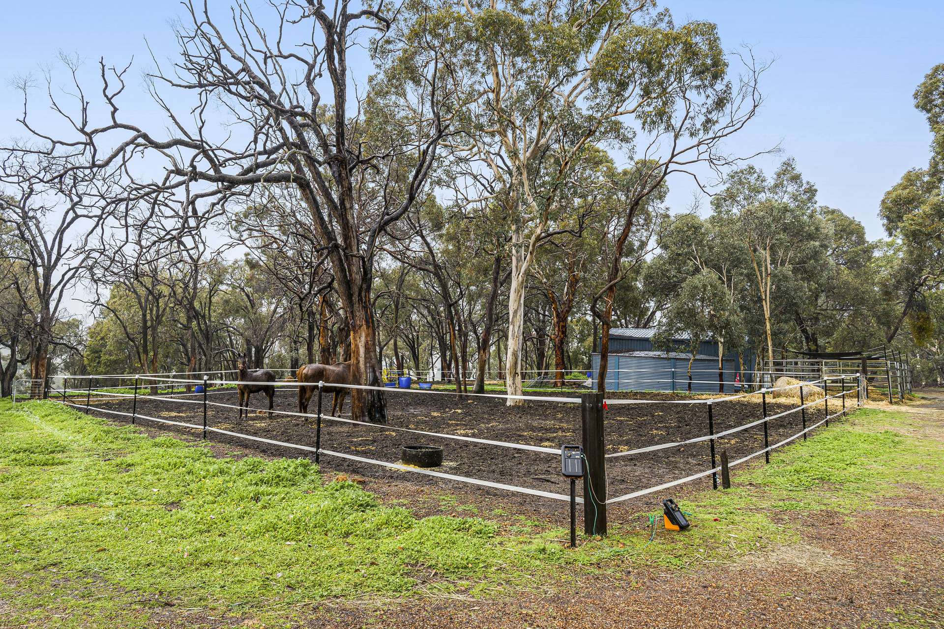 36 Wedgetail Ridge, Bullsbrook For Sale by Farmbuy.com - image 25