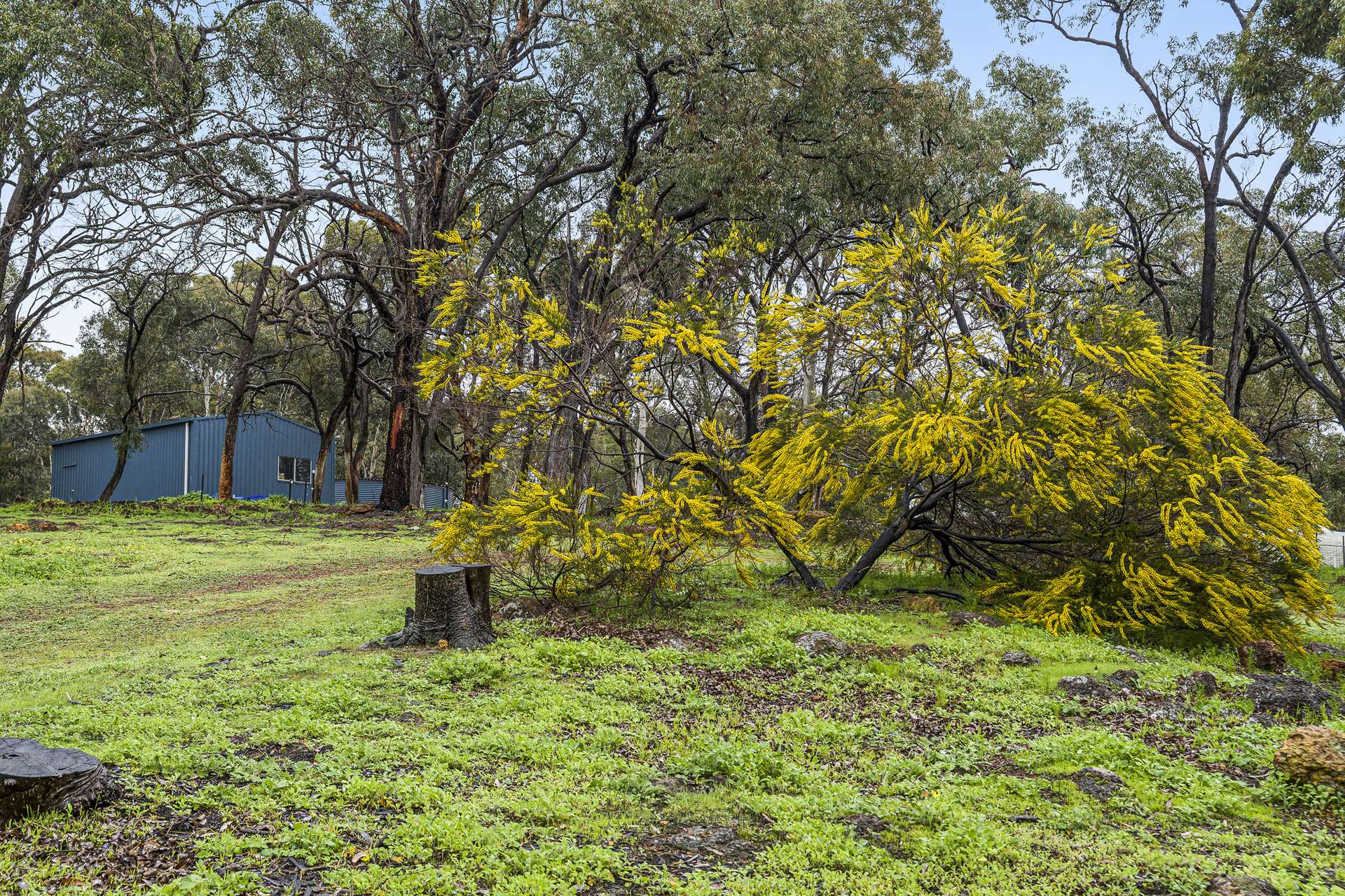 36 Wedgetail Ridge, Bullsbrook For Sale by Farmbuy.com - image 28