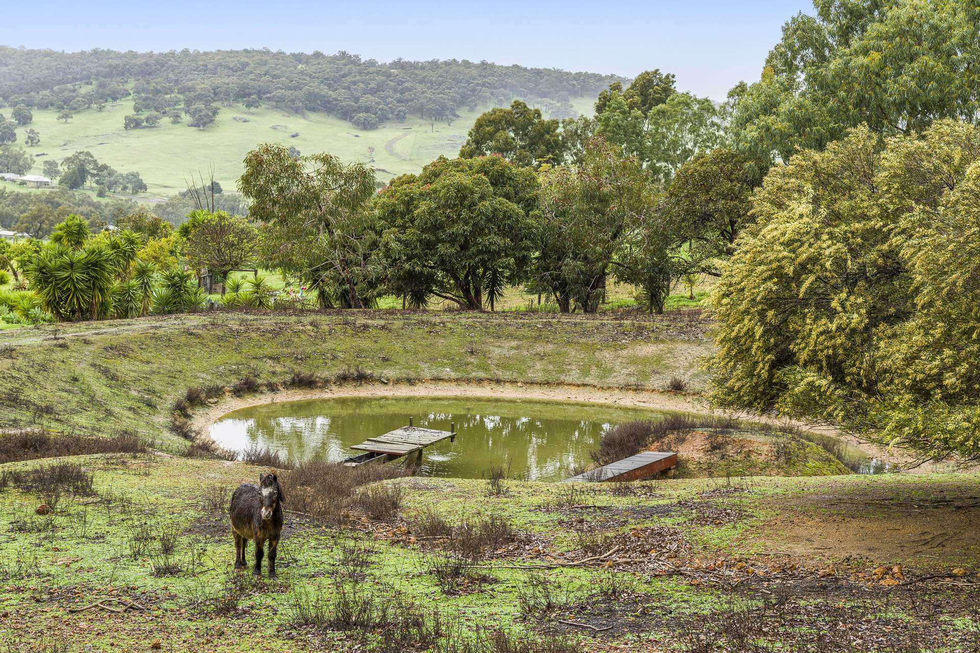 36 Wedgetail Ridge, Bullsbrook For Sale by Farmbuy.com - image 3