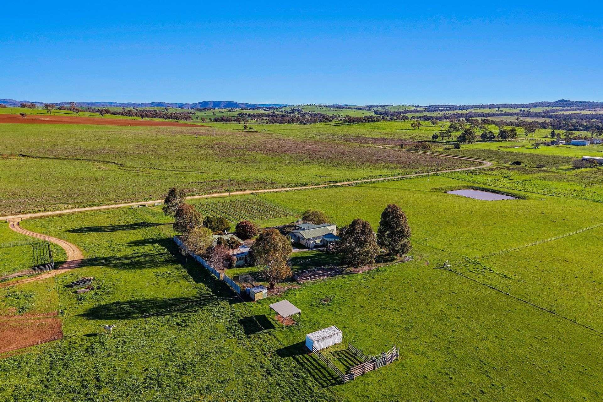 161 Stoney Creek Road, Mudgee For Sale by Farmbuy.com - image 3
