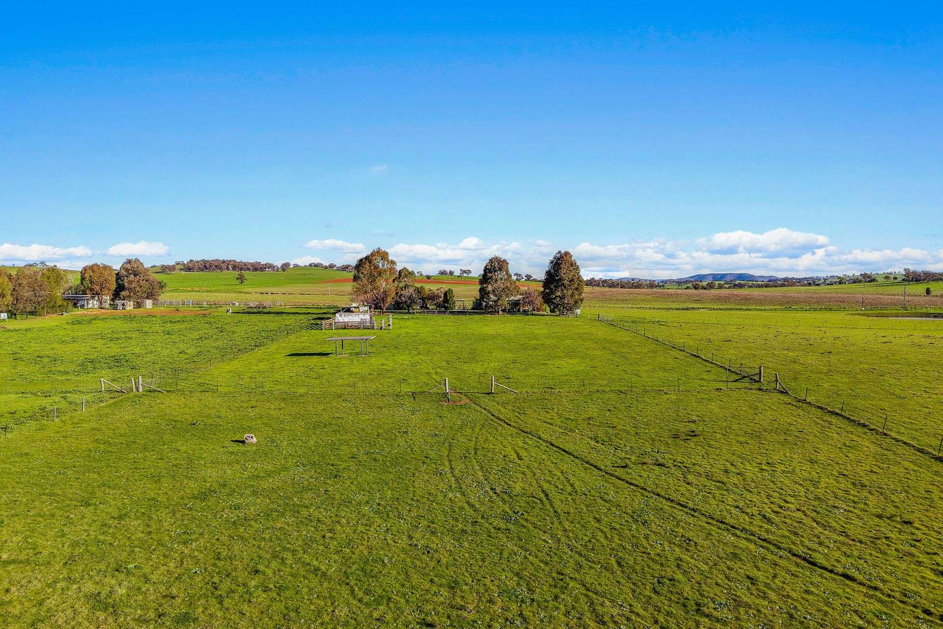 161 Stoney Creek Road, Mudgee For Sale by Farmbuy.com - image 16