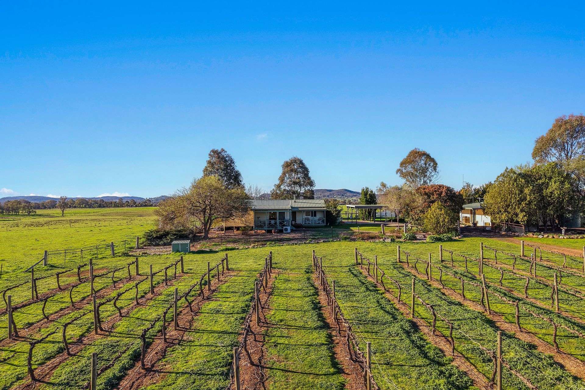 161 Stoney Creek Road, Mudgee For Sale by Farmbuy.com - image 2