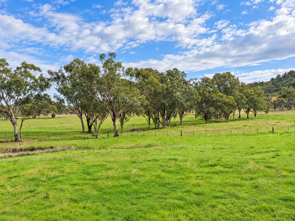 88 Mount Cobla Road, Currabubula NSW 2342