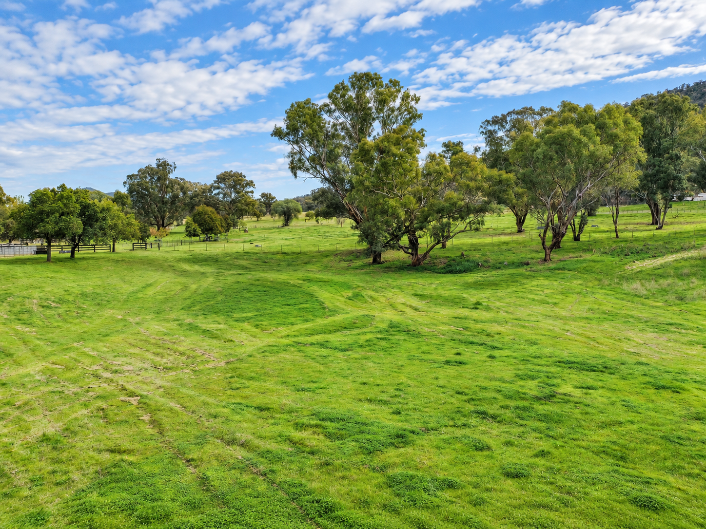 88 Mount Cobla Road, Currabubula For Sale by Farmbuy.com - image 9