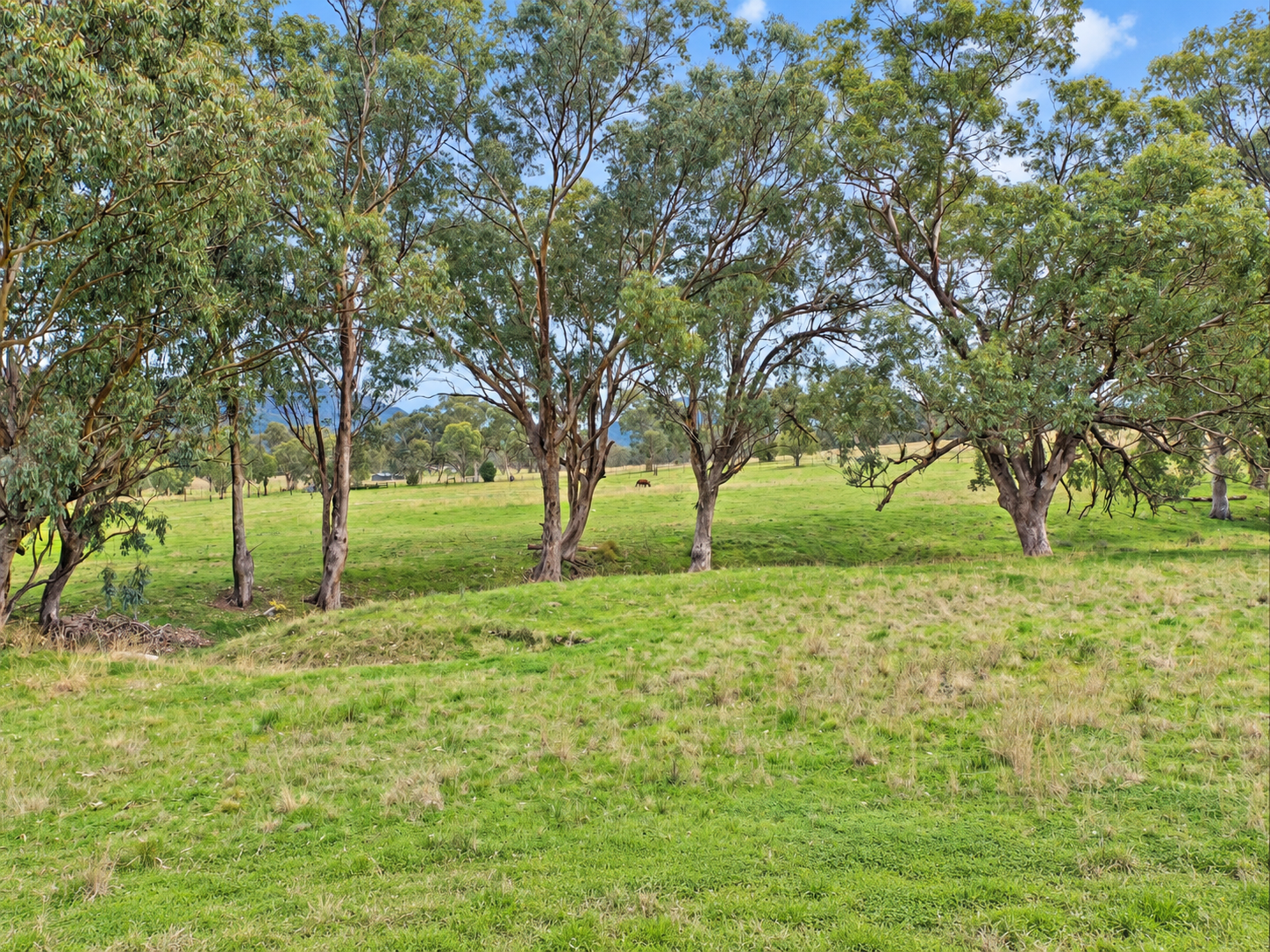 88 Mount Cobla Road, Currabubula For Sale by Farmbuy.com - image 4