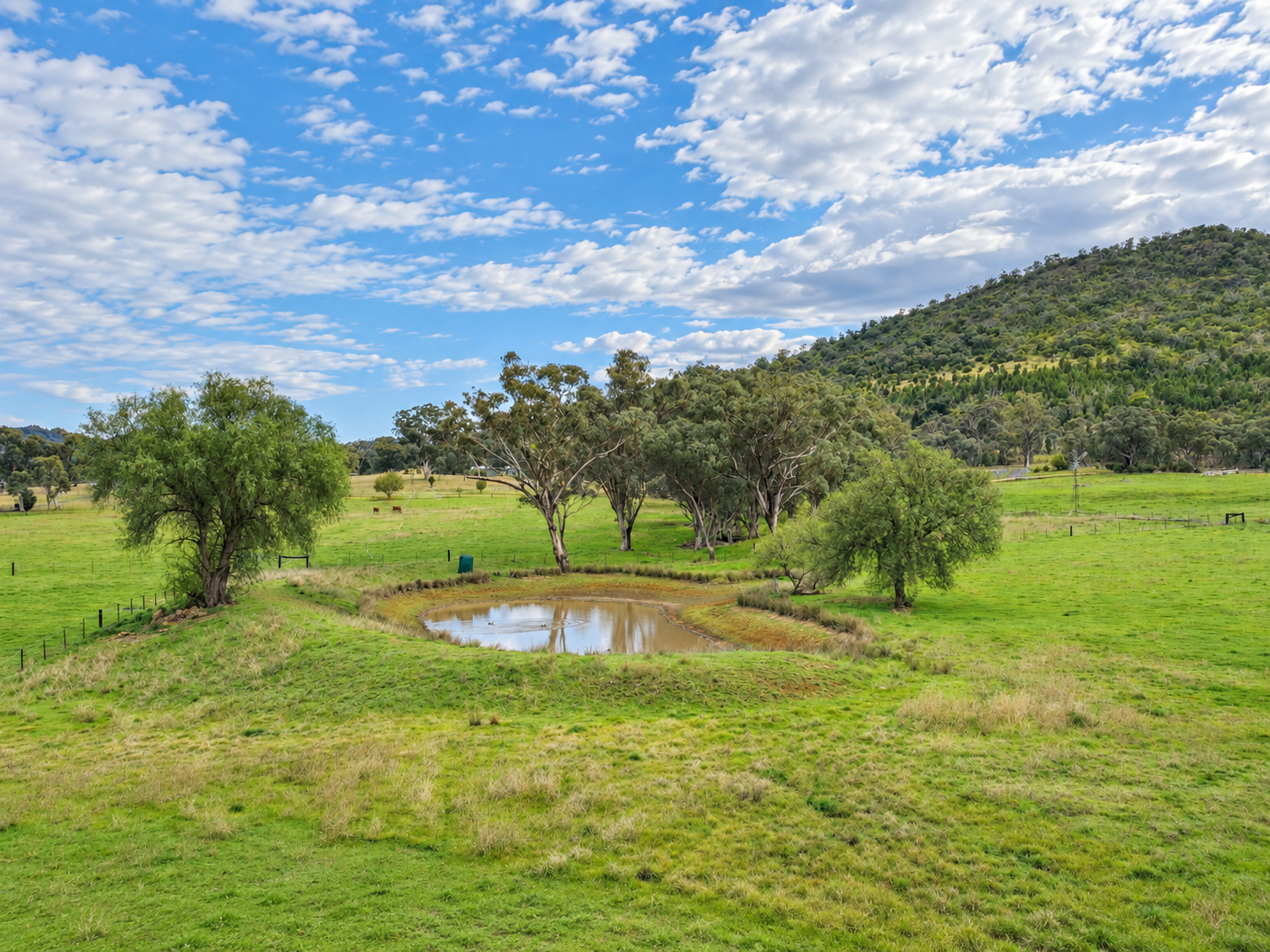 88 Mount Cobla Road, Currabubula For Sale by Farmbuy.com - image 3