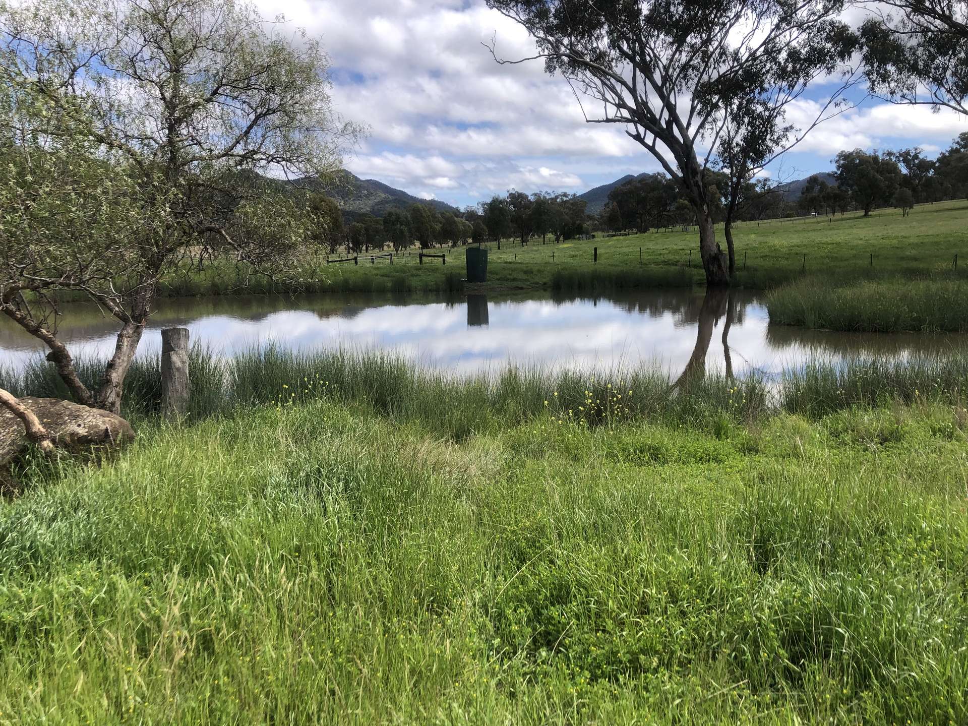 88 Mount Cobla Road, Currabubula For Sale by Farmbuy.com - image 6