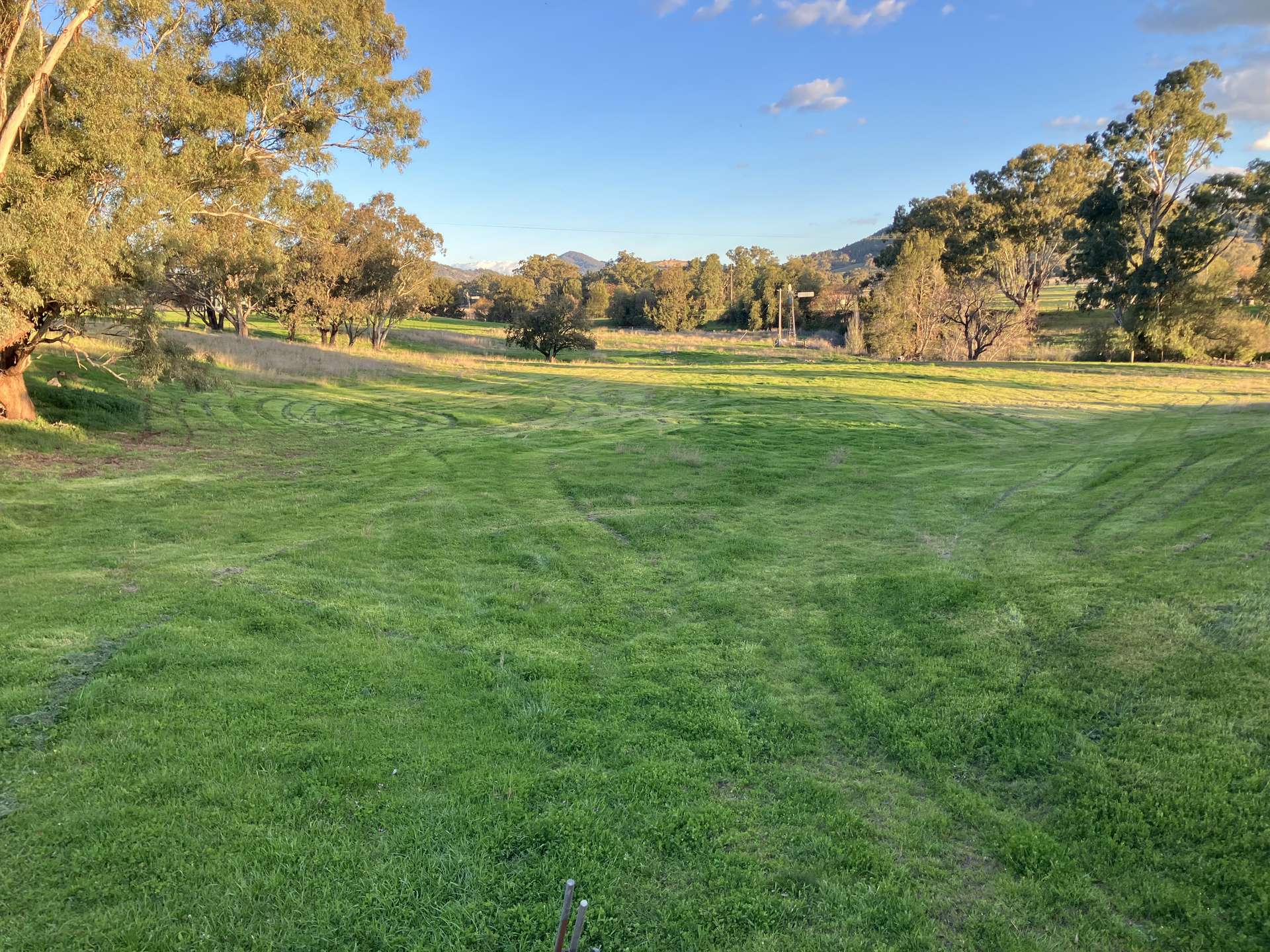 88 Mount Cobla Road, Currabubula For Sale by Farmbuy.com - image 5