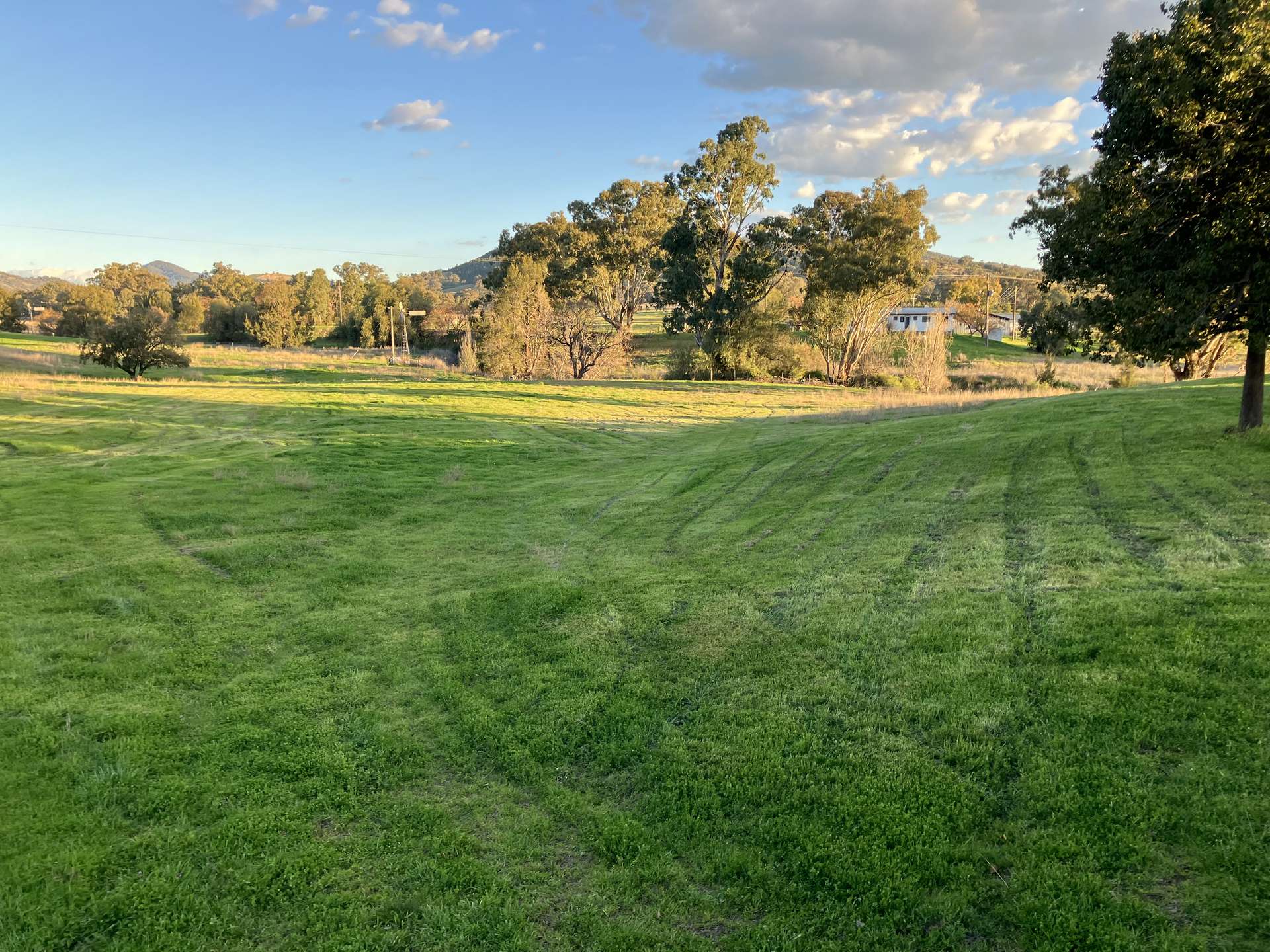 88 Mount Cobla Road, Currabubula For Sale by Farmbuy.com - image 2