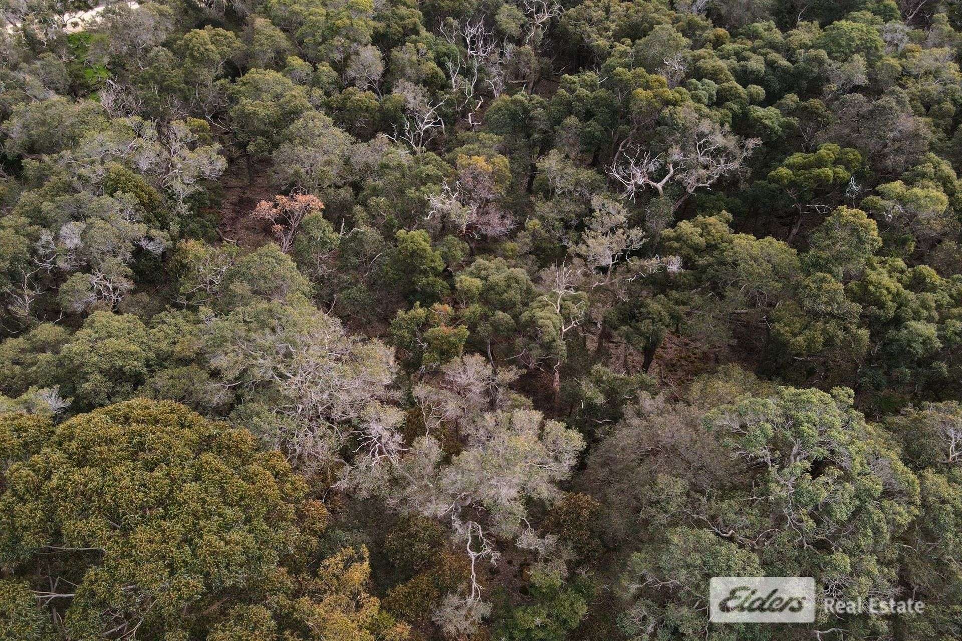 Lot 133,  Ajana Drive, Marbelup For Sale by Farmbuy.com - image 8