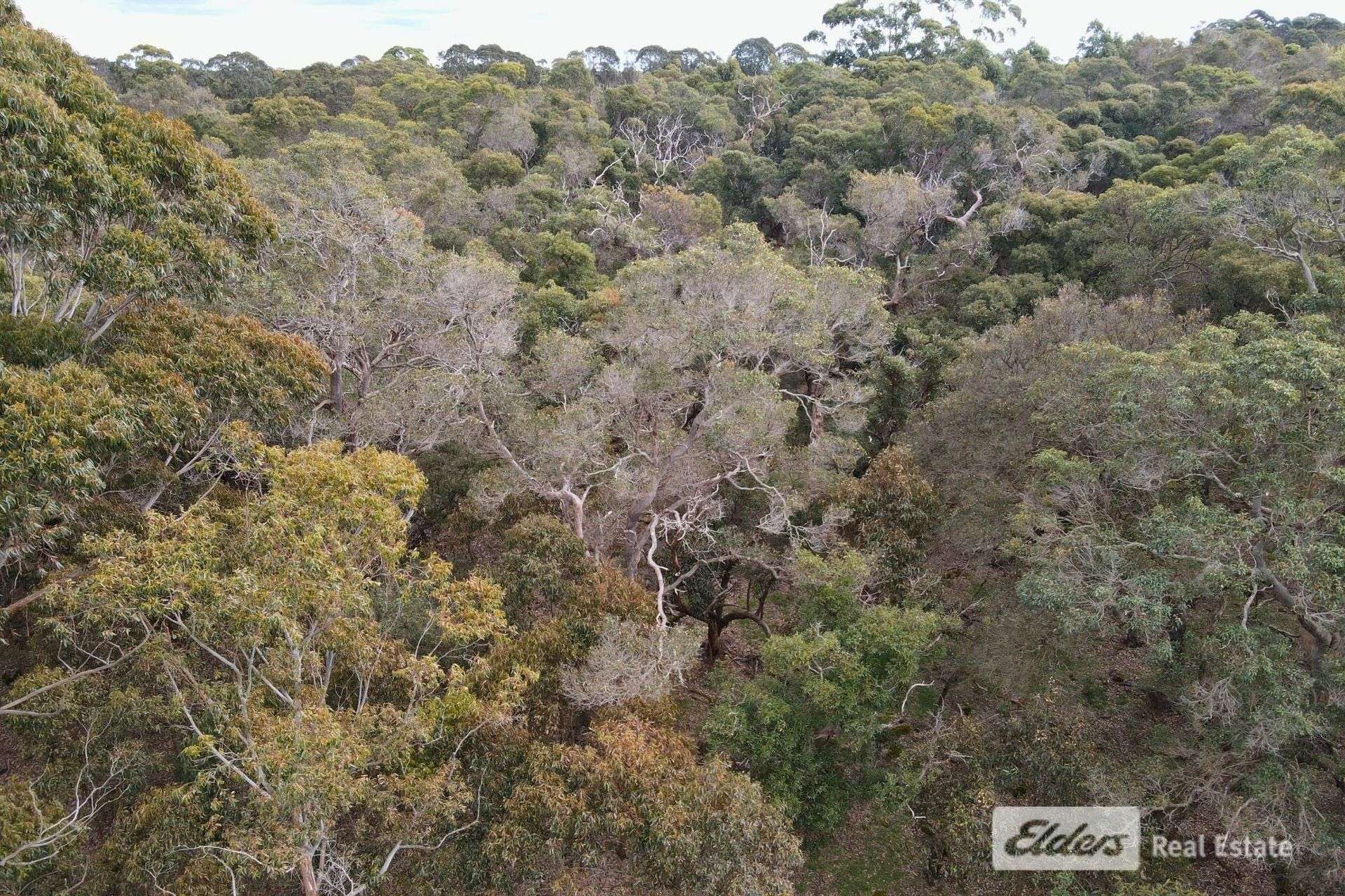 Lot 133,  Ajana Drive, Marbelup For Sale by Farmbuy.com - image 7