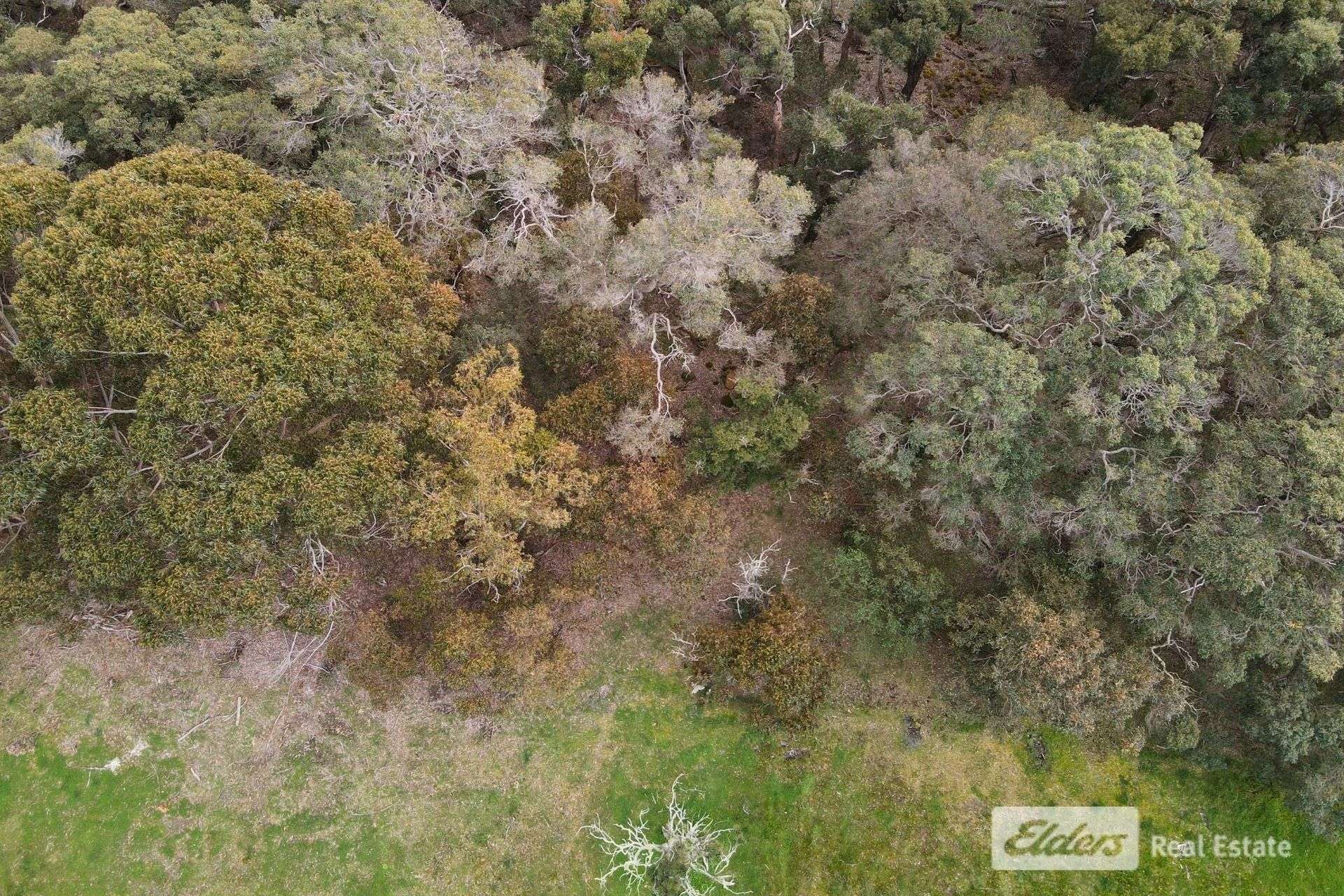 Lot 133,  Ajana Drive, Marbelup For Sale by Farmbuy.com - image 6