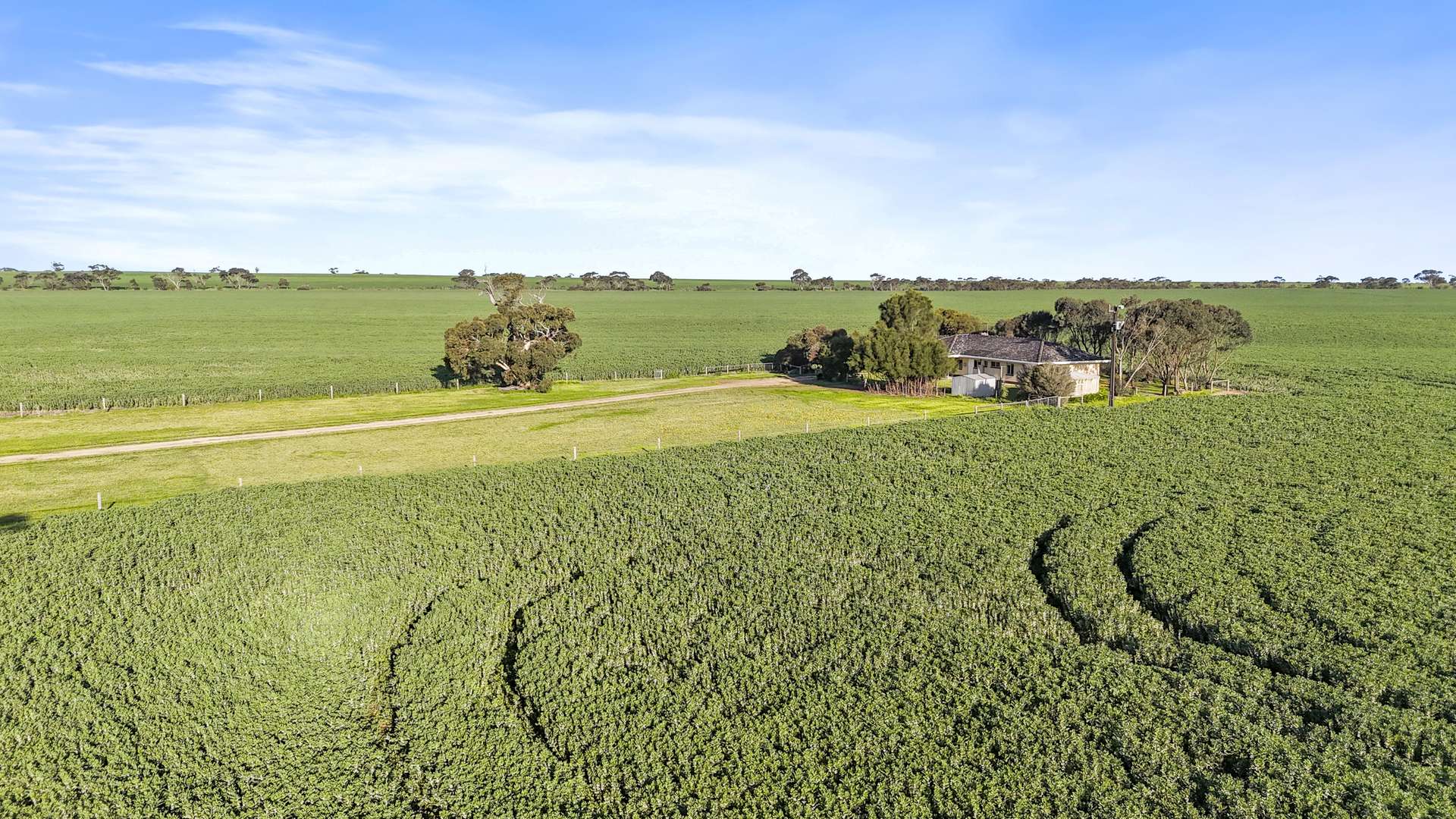 48 Bremer Station Road, Strathalbyn For Sale by Farmbuy.com - image 21
