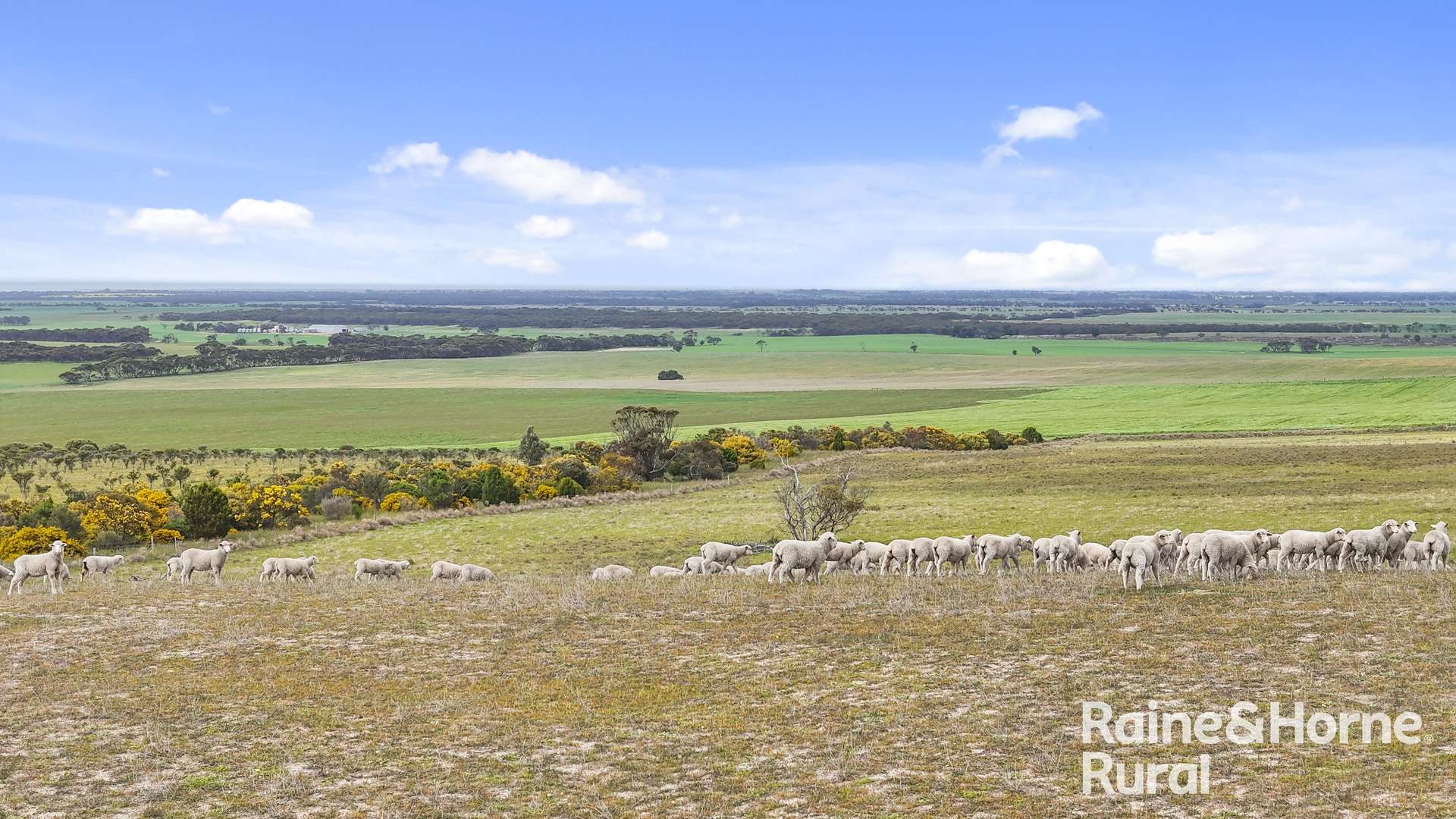 Lot 259 Harvey Road, Hartley For Sale by Farmbuy.com - image 14
