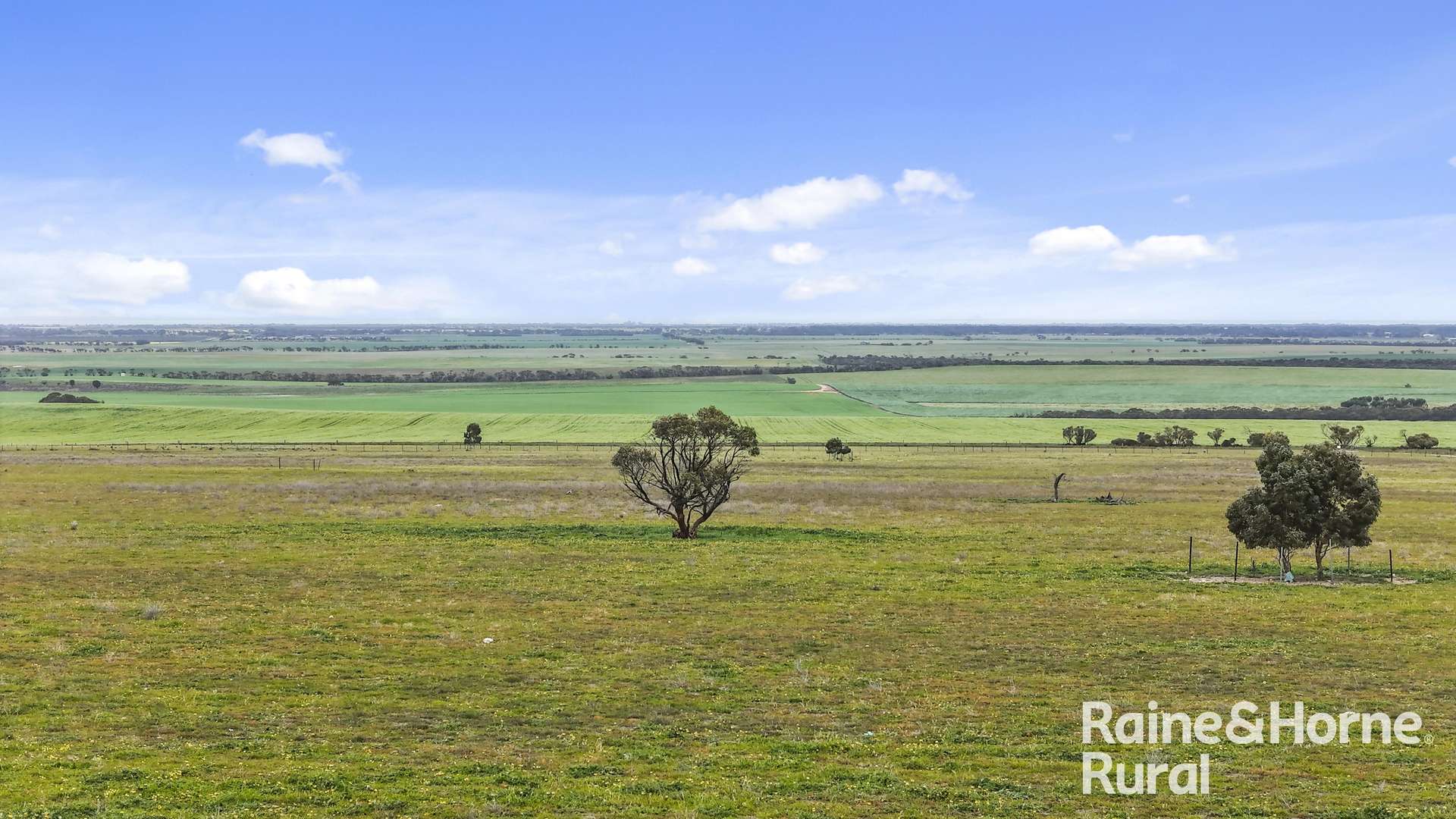 Lot 259 Harvey Road, Hartley For Sale by Farmbuy.com - image 11