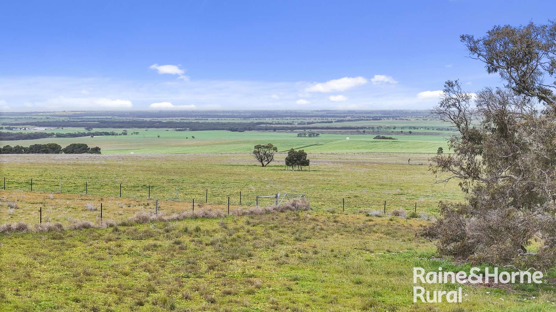 Lot 259 Harvey Road, Hartley For Sale by Farmbuy.com - image 8