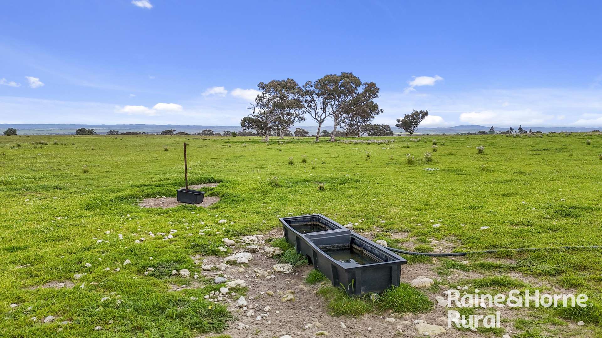 Lot 259 Harvey Road, Hartley For Sale by Farmbuy.com - image 7