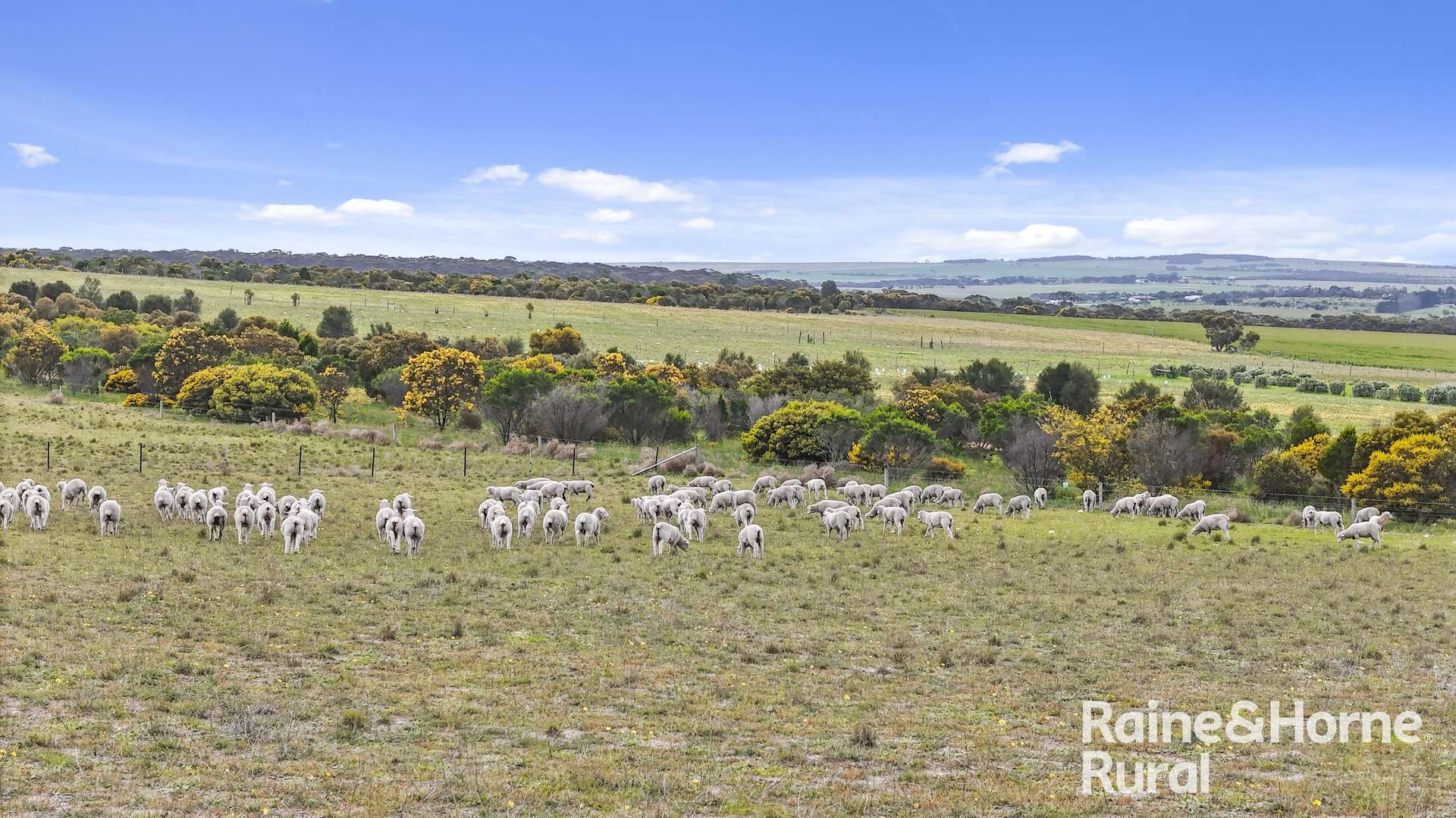 Lot 259 Harvey Road, Hartley For Sale by Farmbuy.com - image 17