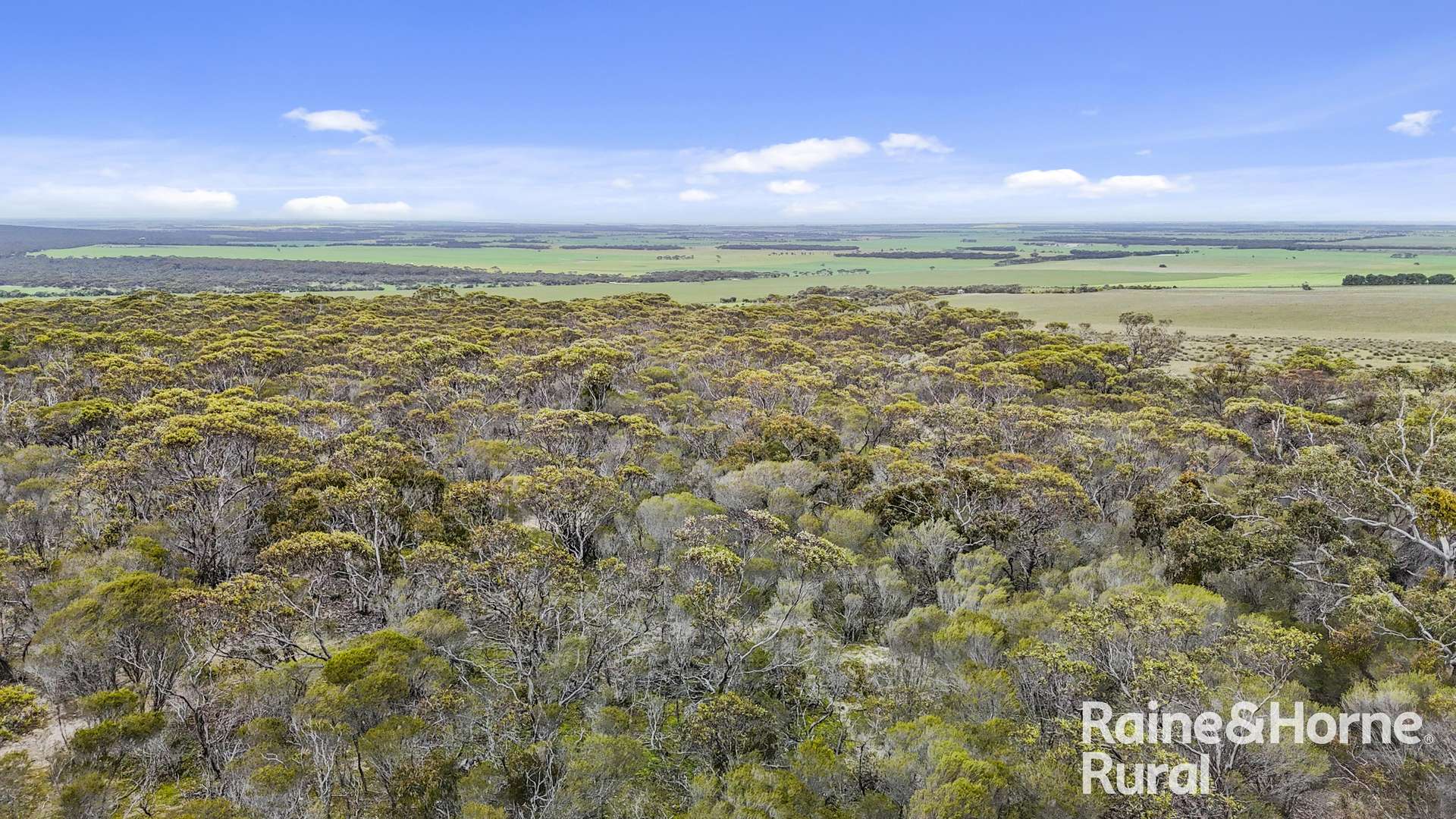 Lot 259 Harvey Road, Hartley For Sale by Farmbuy.com - image 21