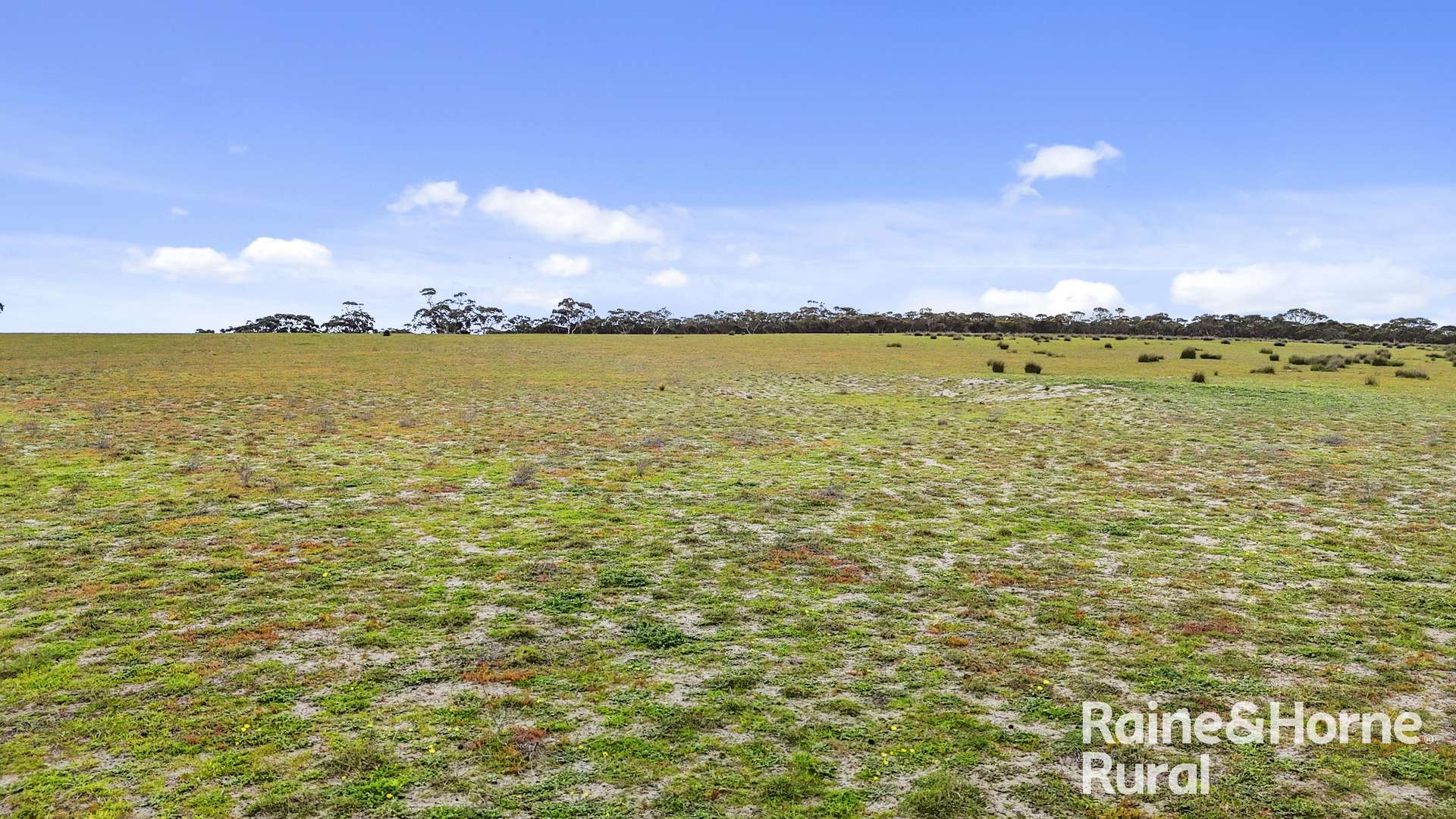 Lot 259 Harvey Road, Hartley For Sale by Farmbuy.com - image 22