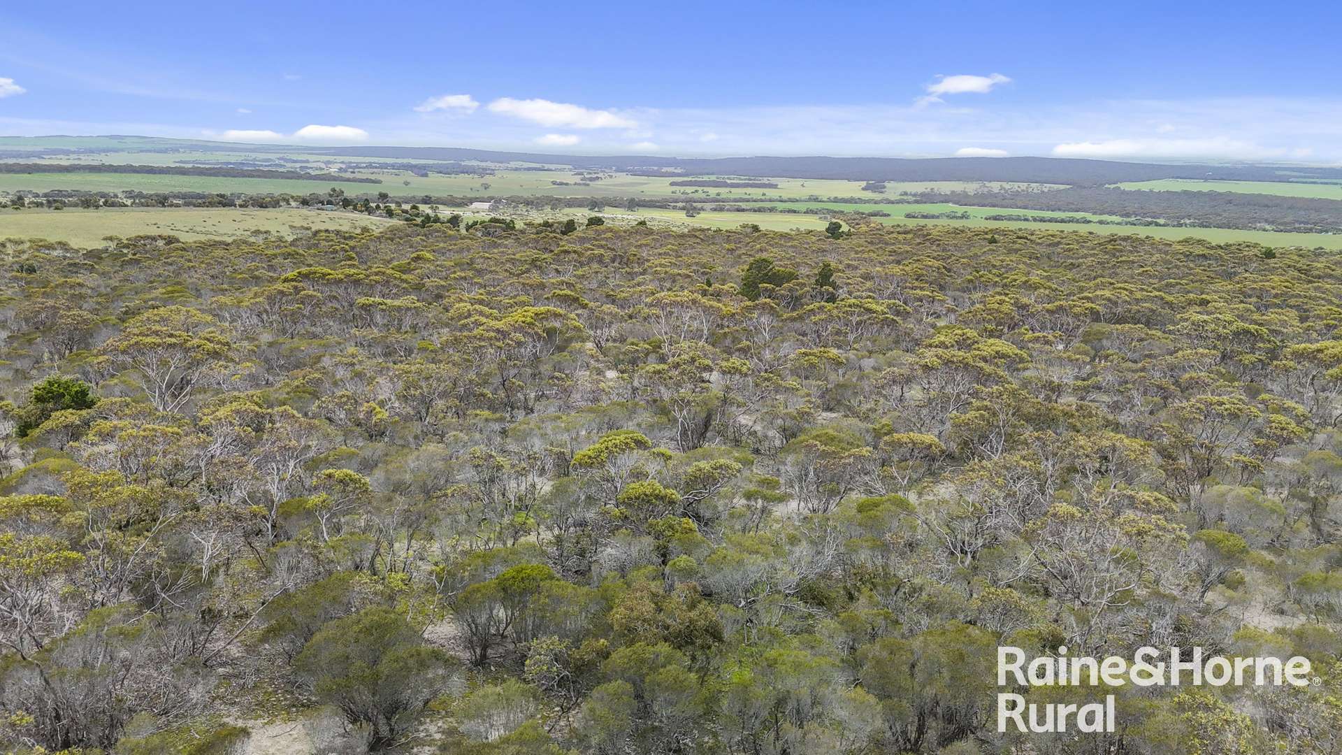 Lot 259 Harvey Road, Hartley For Sale by Farmbuy.com - image 18