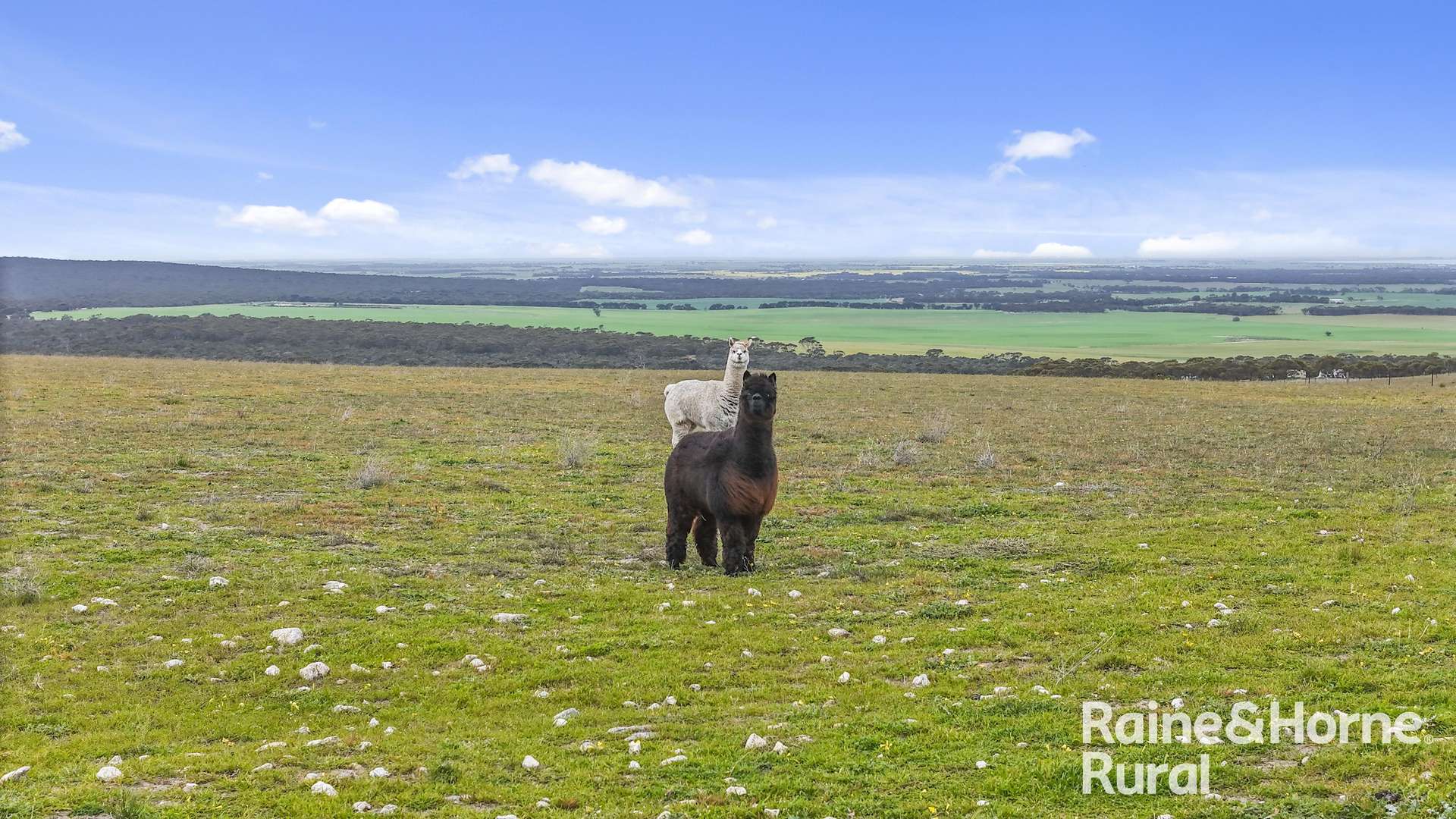 Lot 259 Harvey Road, Hartley For Sale by Farmbuy.com - image 10