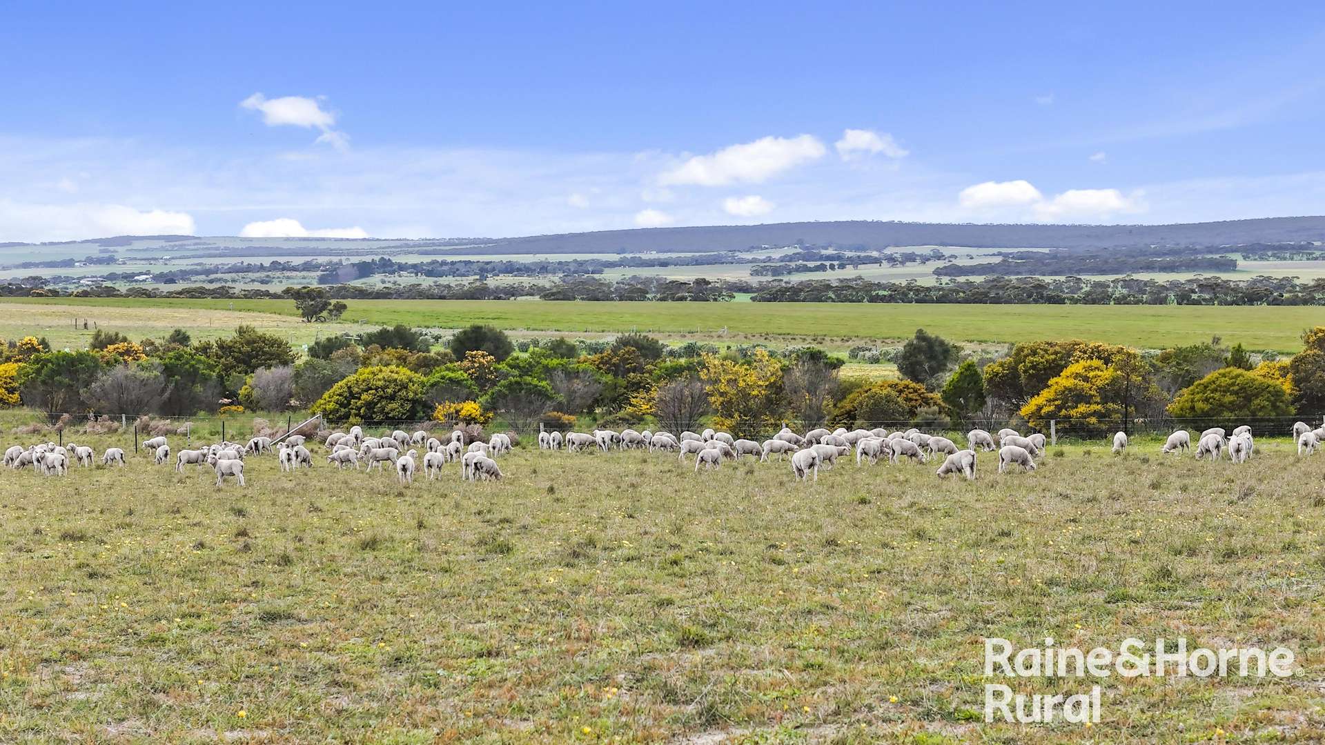 Lot 259 Harvey Road, Hartley For Sale by Farmbuy.com - image 20