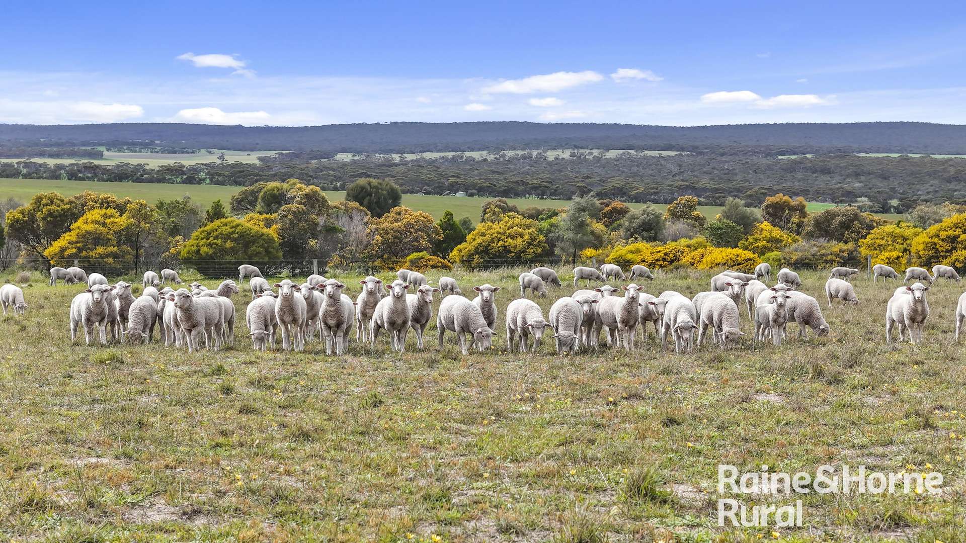 Lot 259 Harvey Road, Hartley For Sale by Farmbuy.com - image 2