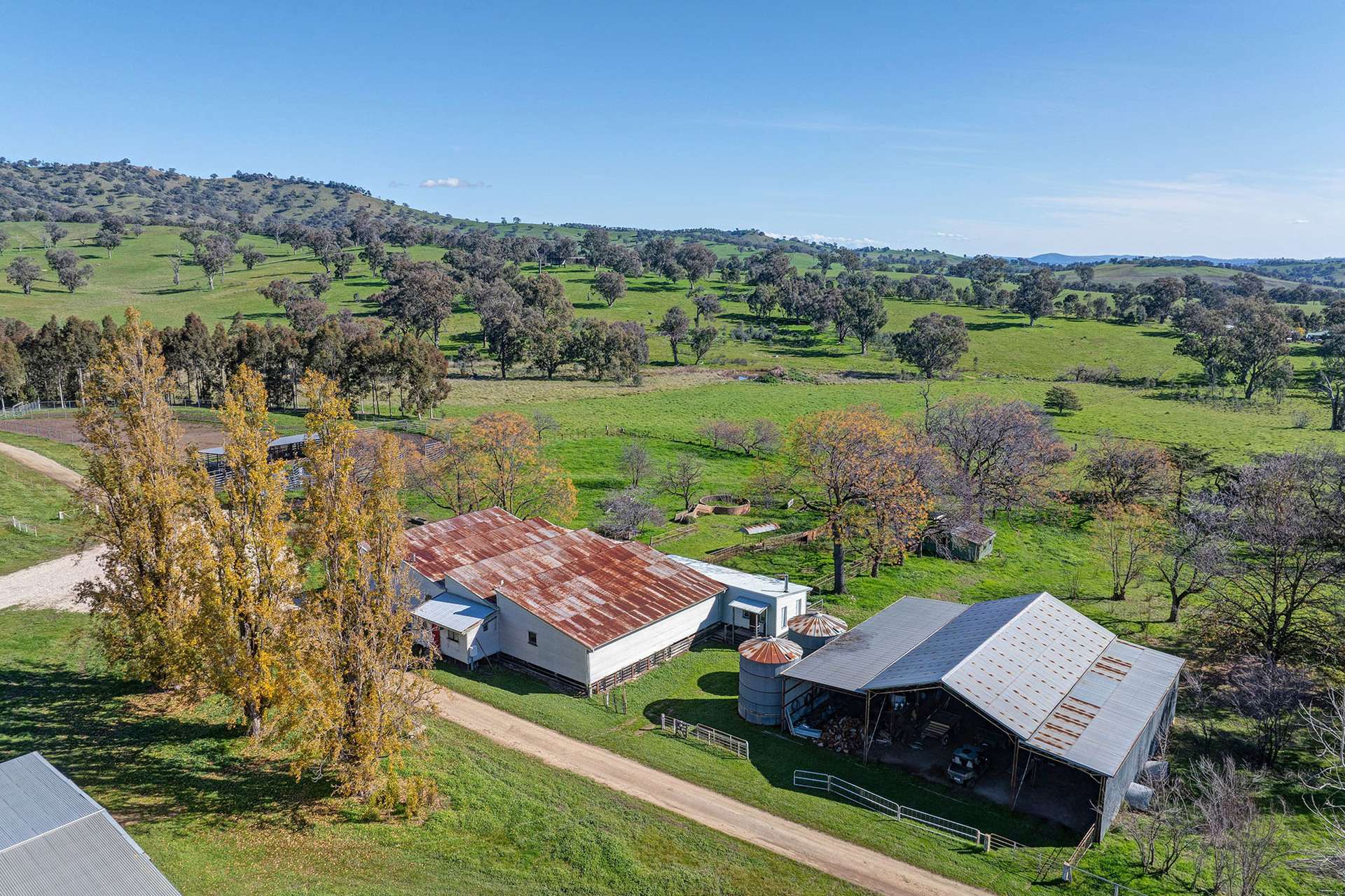 1268 Wymah Road, Bowna For Sale by Farmbuy.com - image 27
